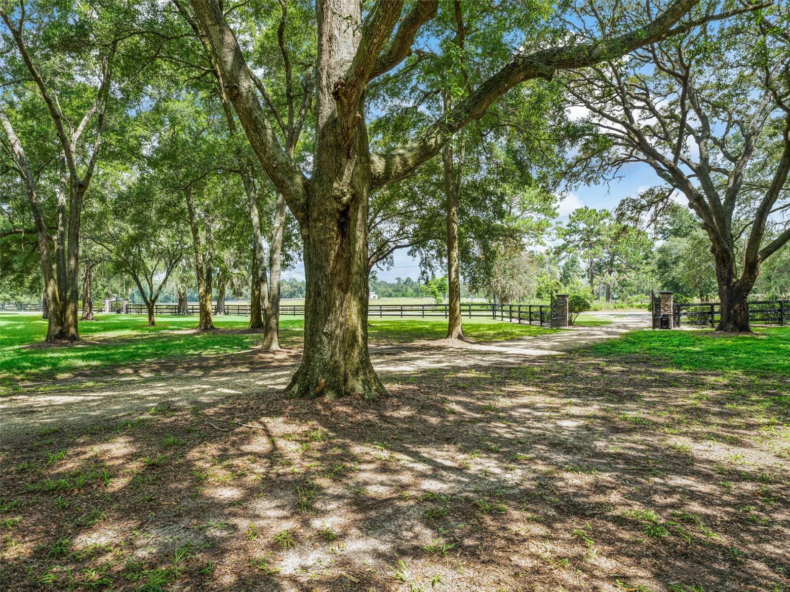 Image 81 of 93 For 7268 21st Street