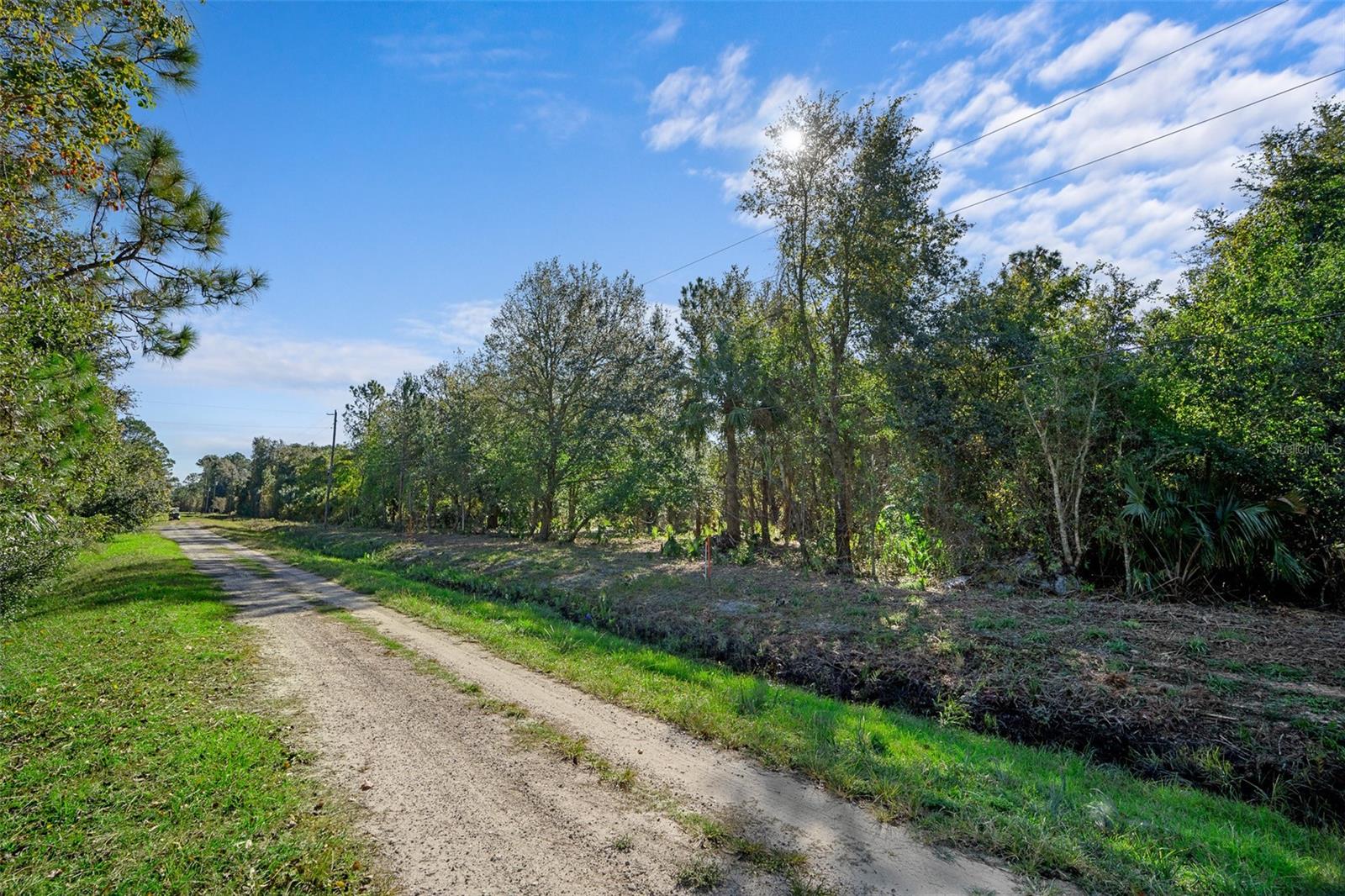 Image 10 of 10 For 334 Birch Boulevard