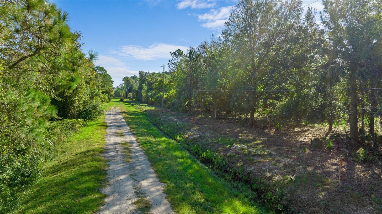 Image 2 of 10 For 334 Birch Boulevard