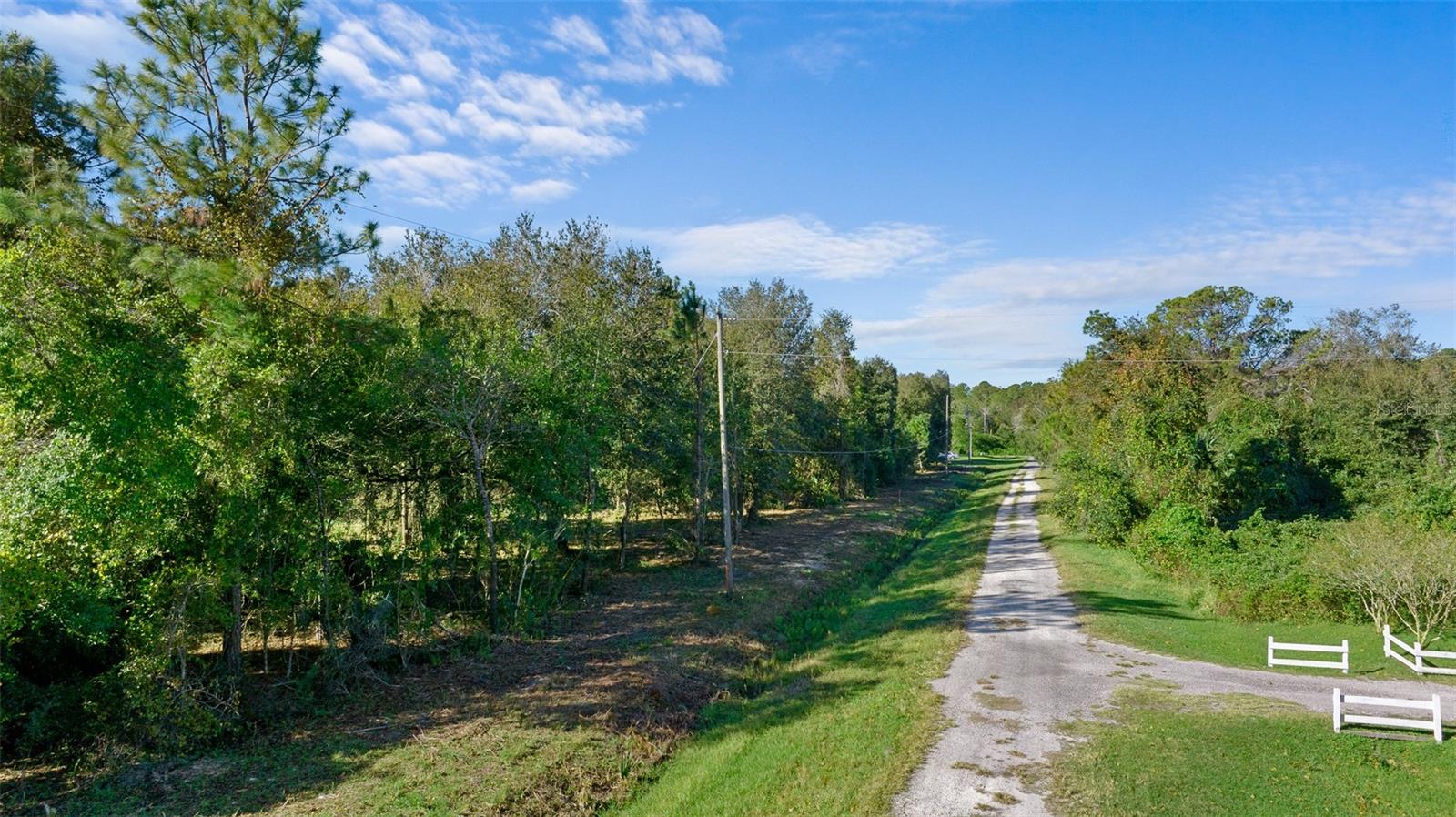 Image 3 of 10 For 334 Birch Boulevard