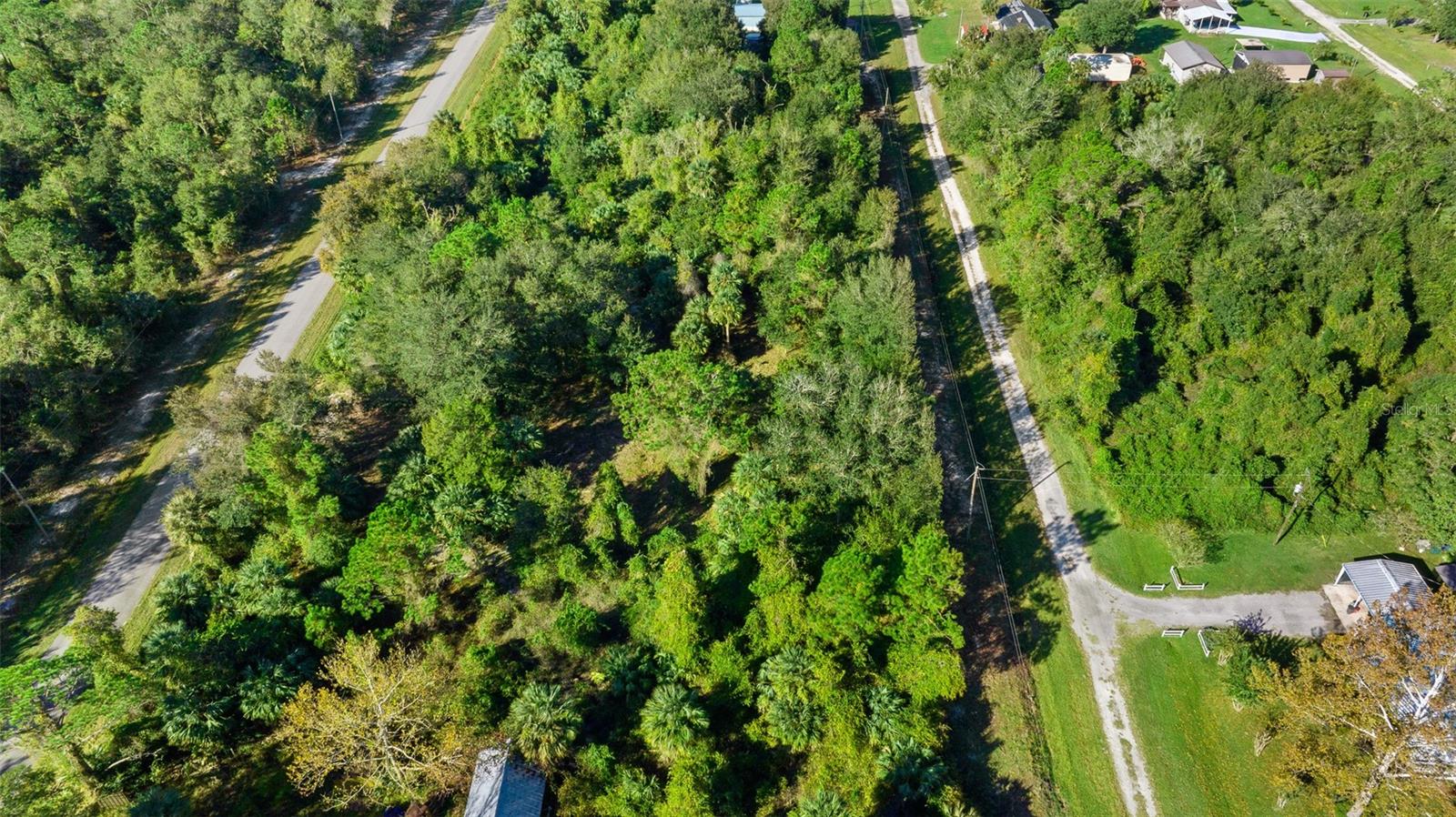 Image 5 of 10 For 334 Birch Boulevard