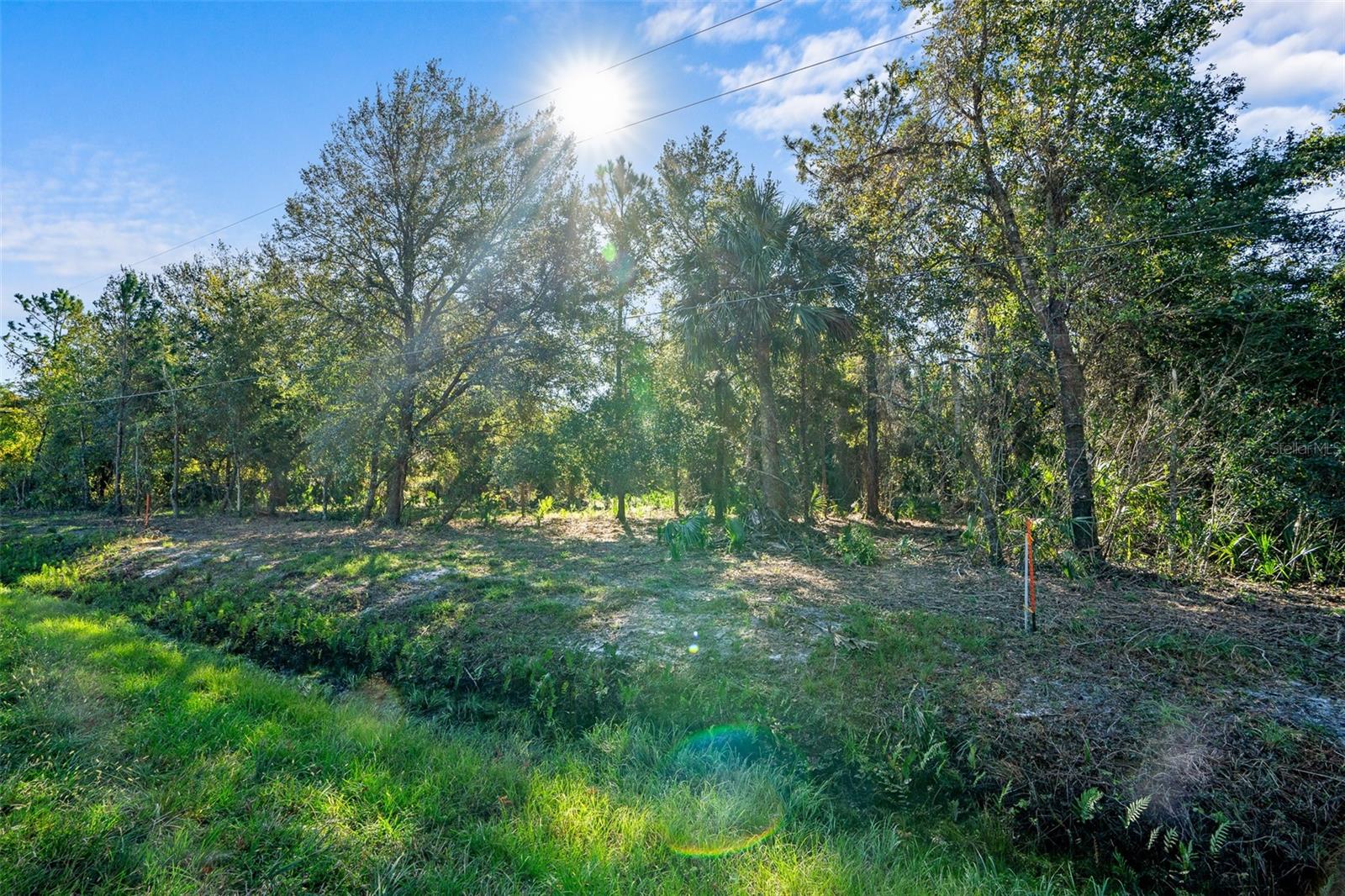Image 7 of 10 For 334 Birch Boulevard