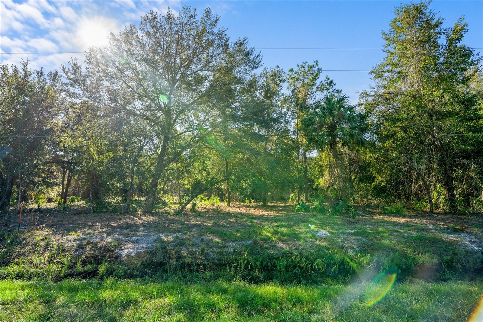 Image 8 of 10 For 334 Birch Boulevard