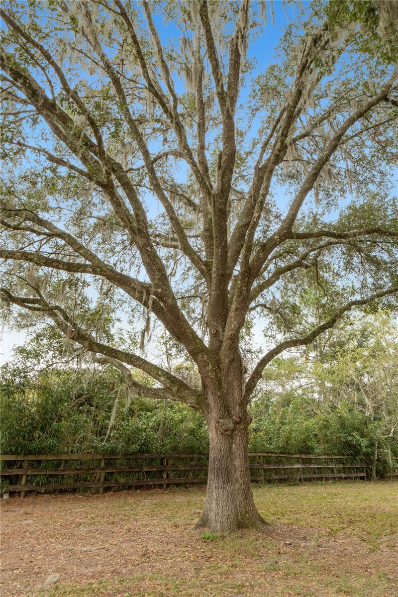 Image 60 of 77 For 530 125th Avenue