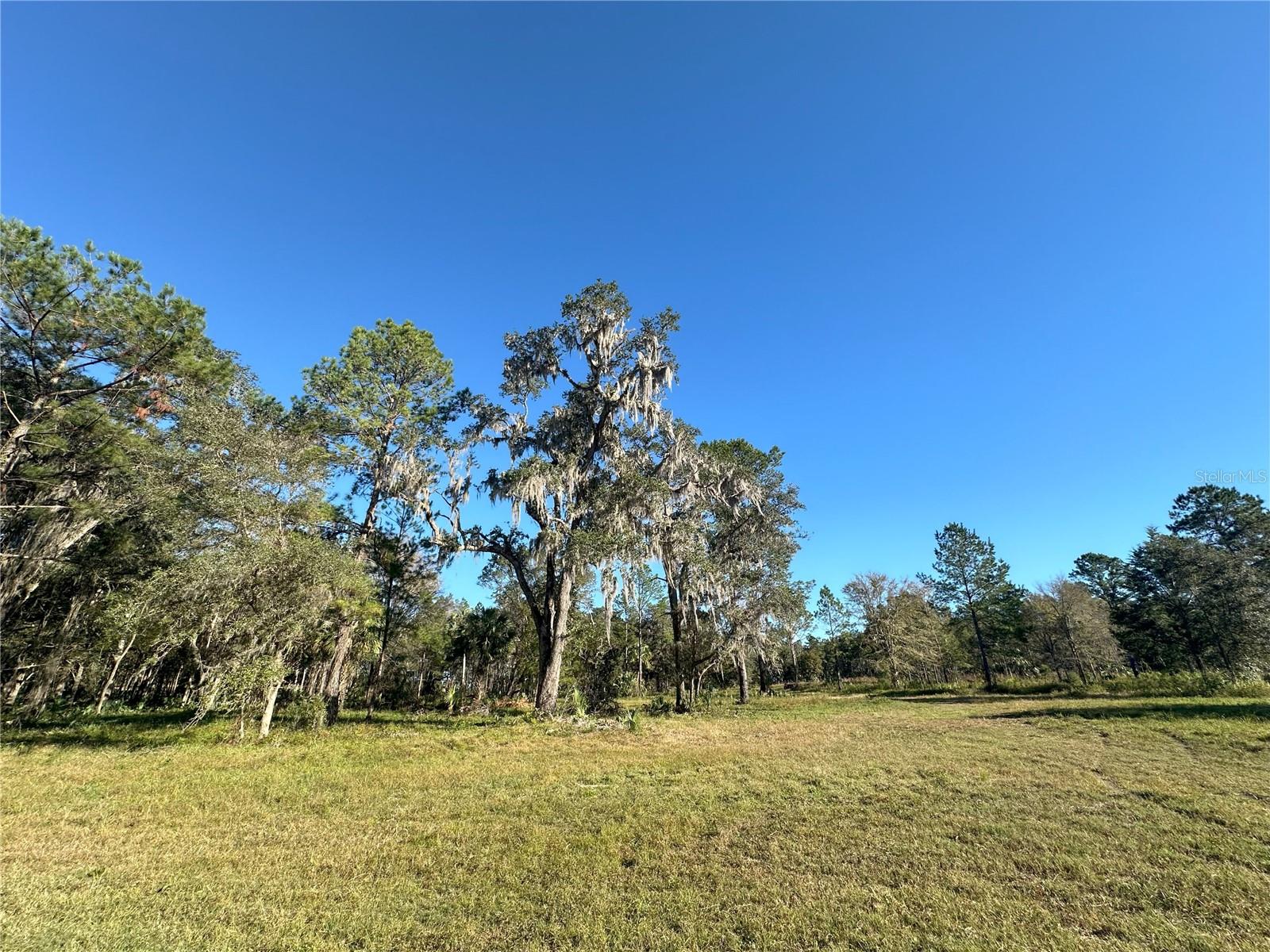 Details for 260ac Nw 193rd St, REDDICK, FL 32686