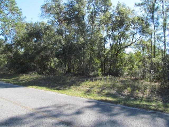 Details for 00 169th Court, OCKLAWAHA, FL 32179