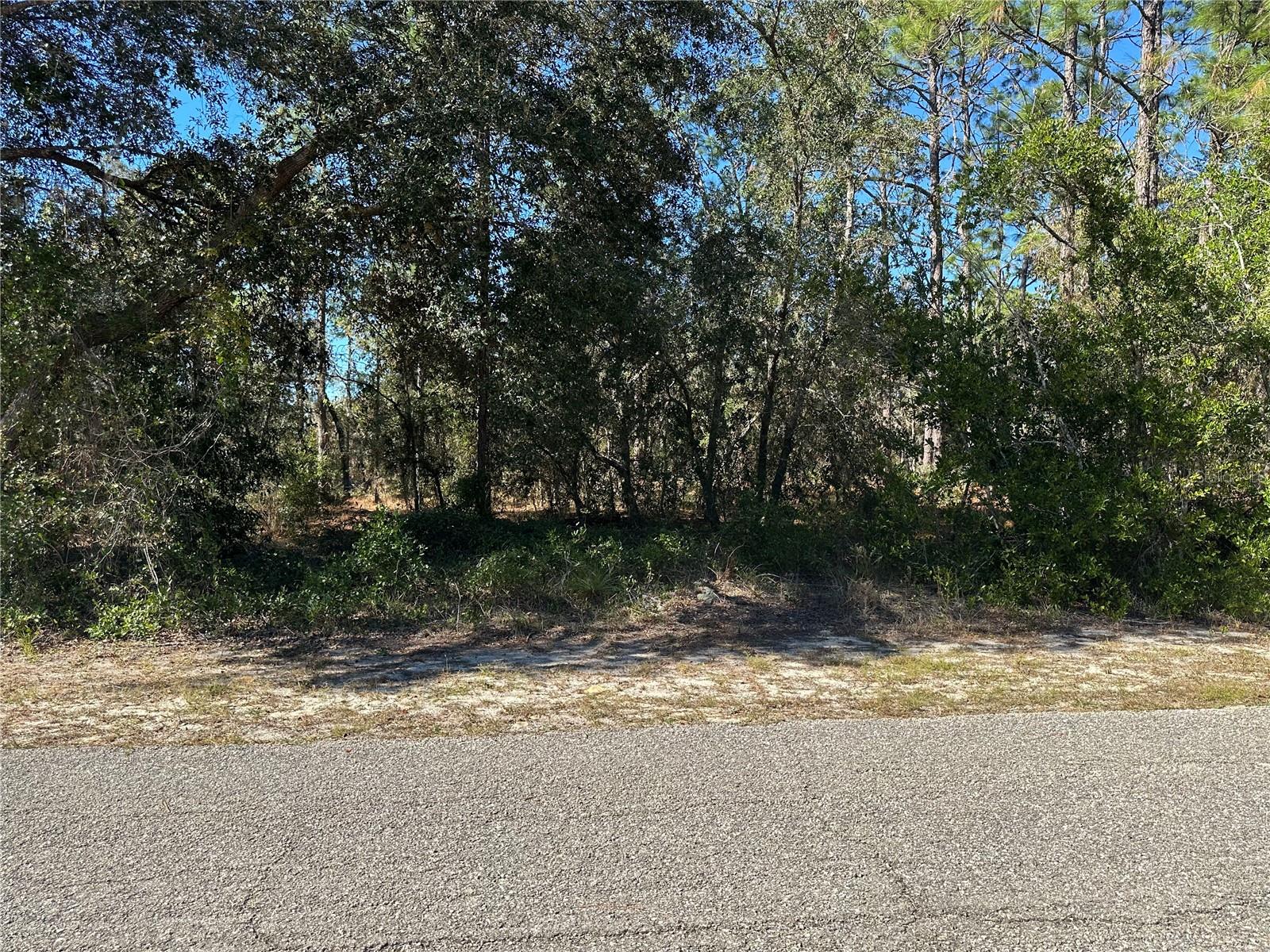 Details for Se 133rd Ave Avenue, DUNNELLON, FL 34431