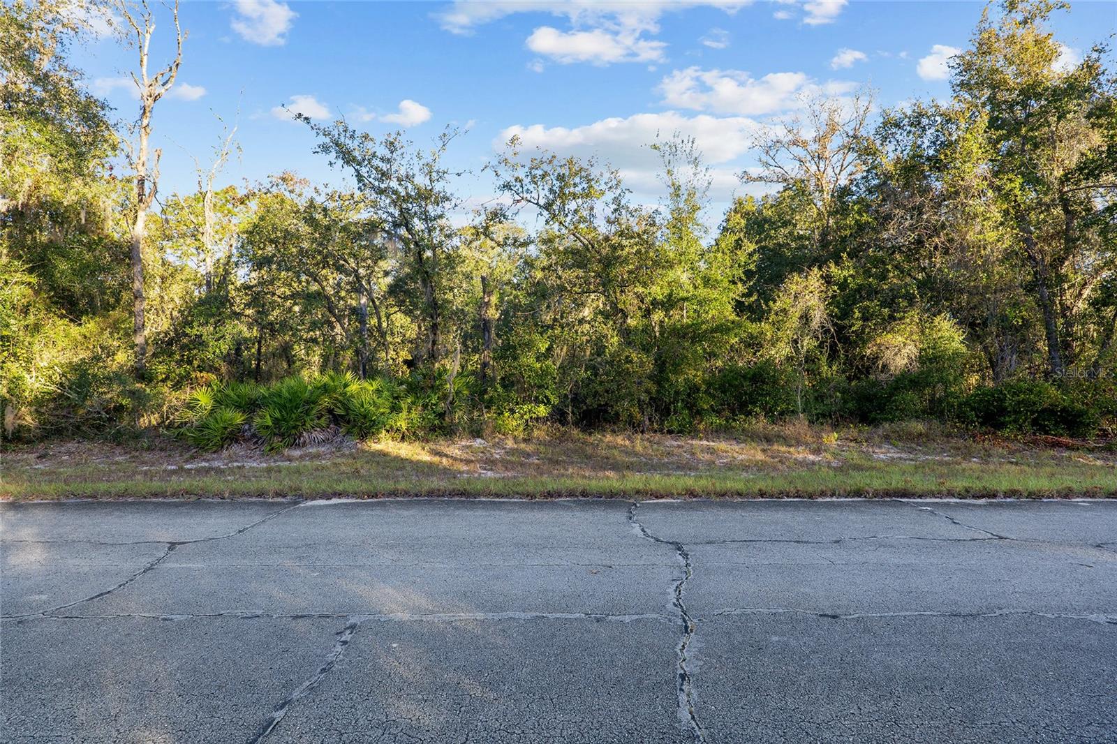 Details for Tbd 174th Place, OCALA, FL 34473