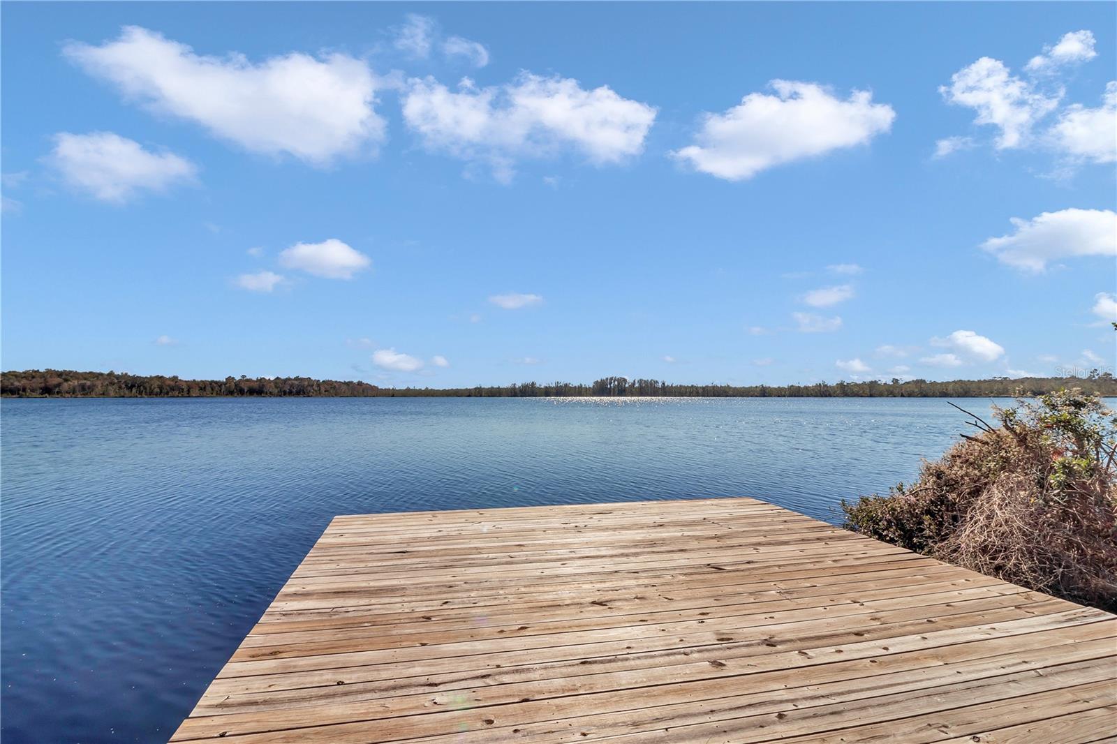 Details for 17830 49th Street Road, SILVER SPRINGS, FL 34488