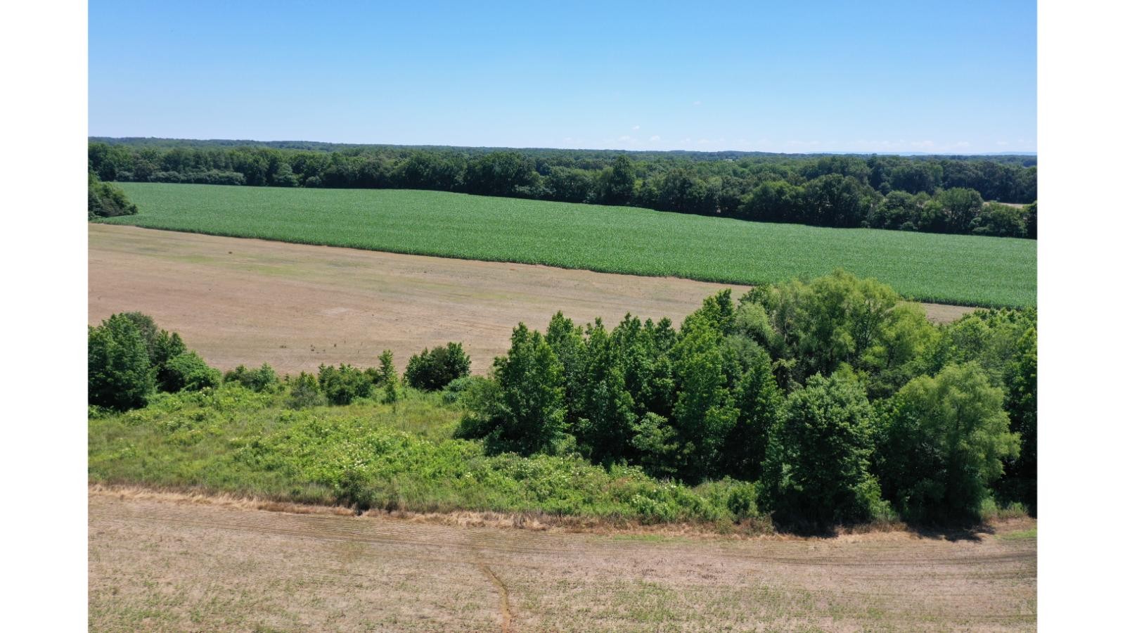 Image 8 of 64 For 9350 91st Court Road