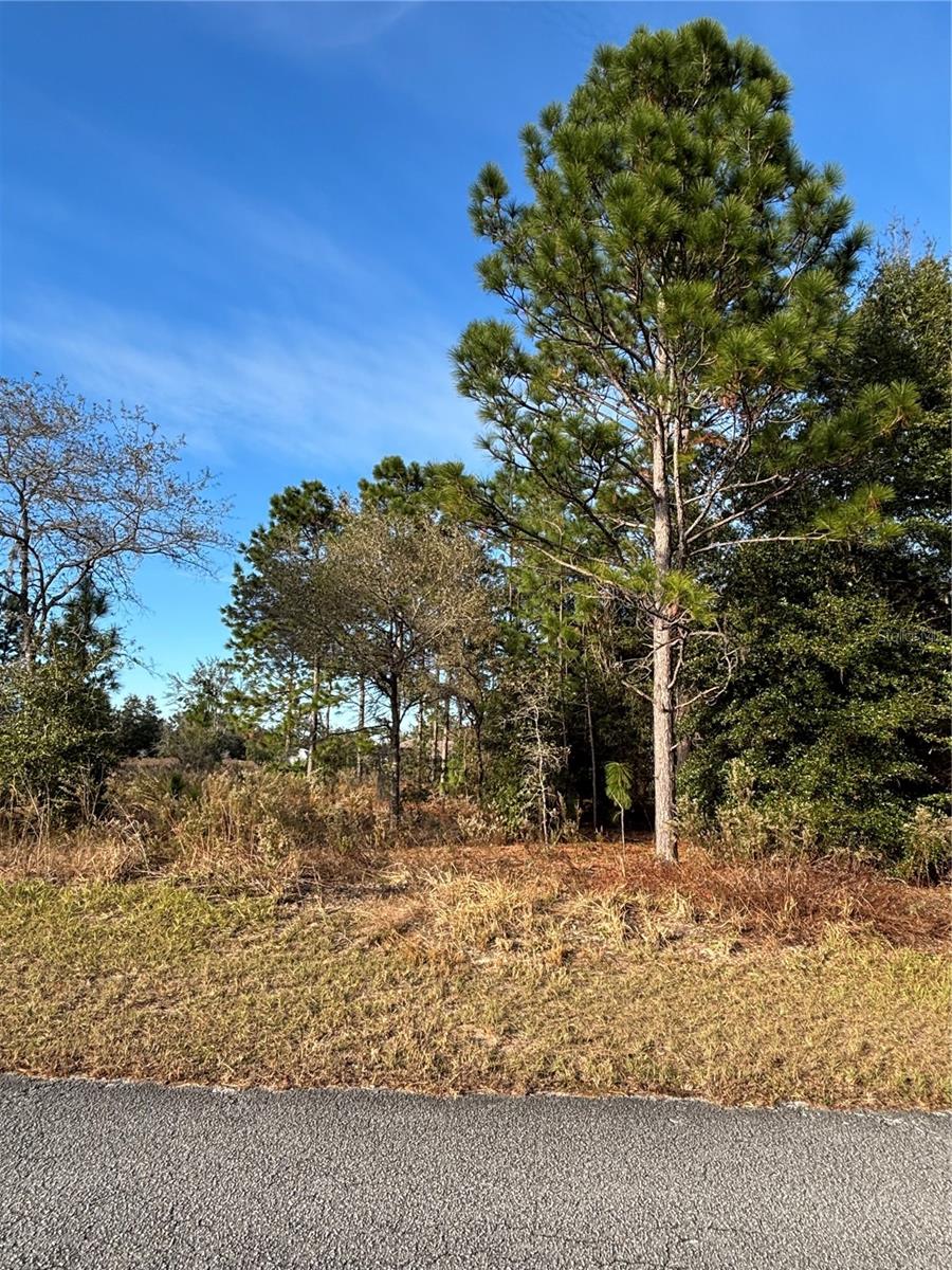 Details for Lot 18 65th Loop, DUNNELLON, FL 34432