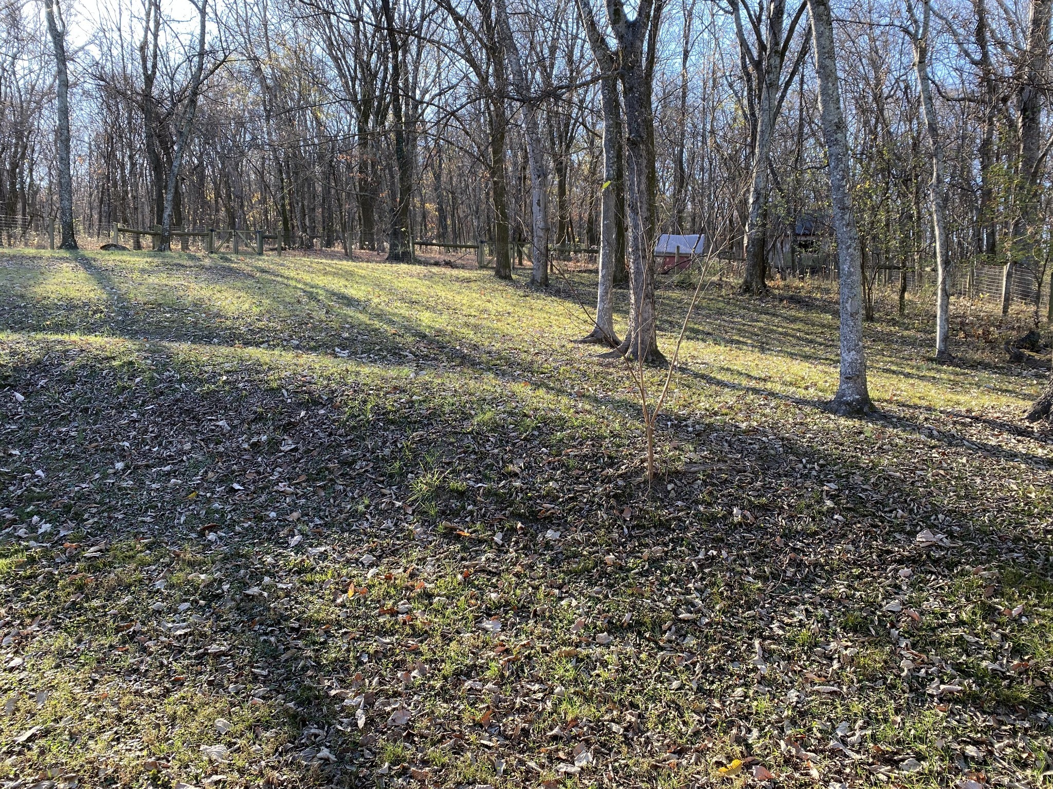 Image 22 of 22 For 641 Marguerita Drive