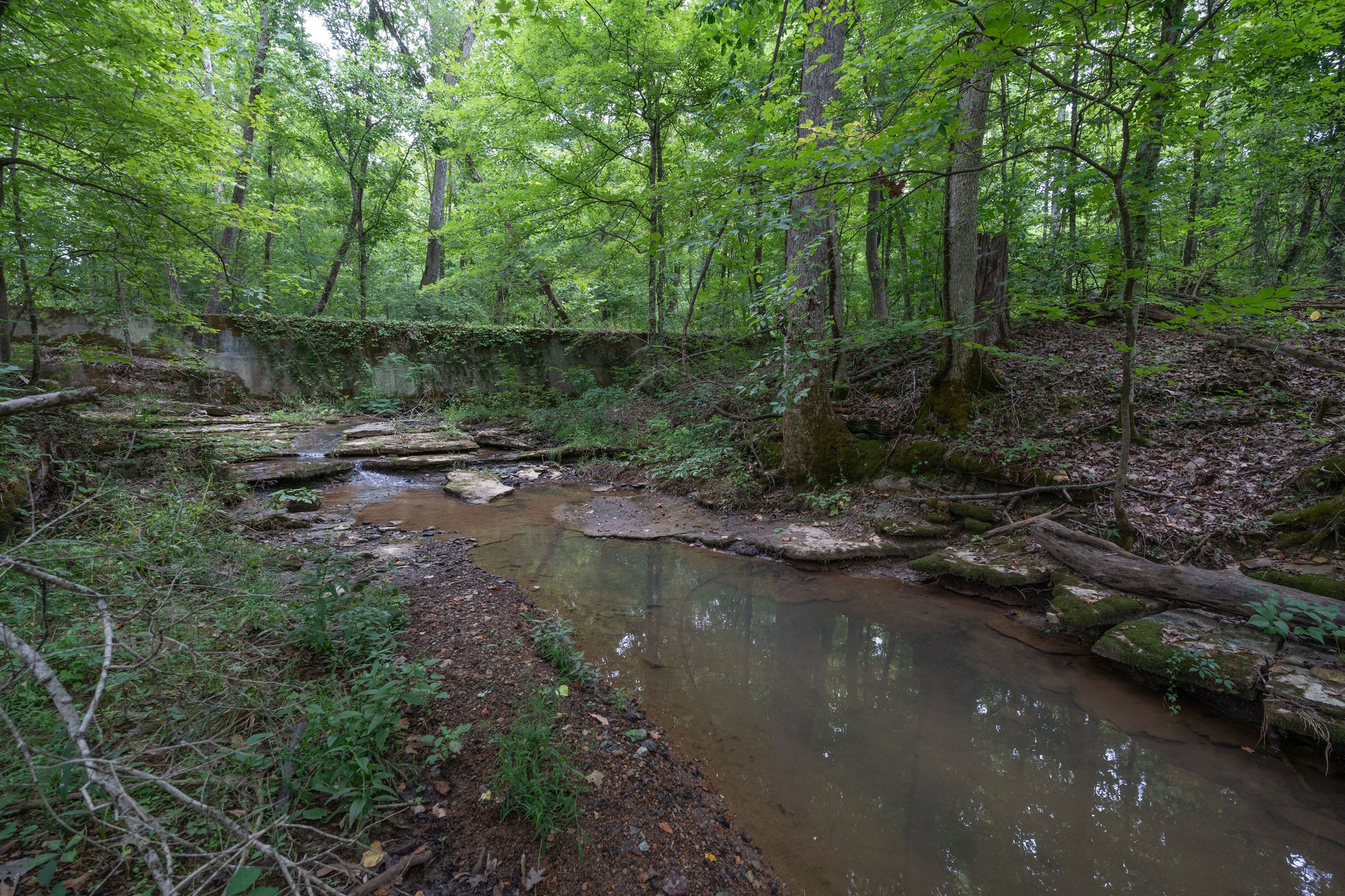 Image 3 of 15 For 293 Oak Lane Drive