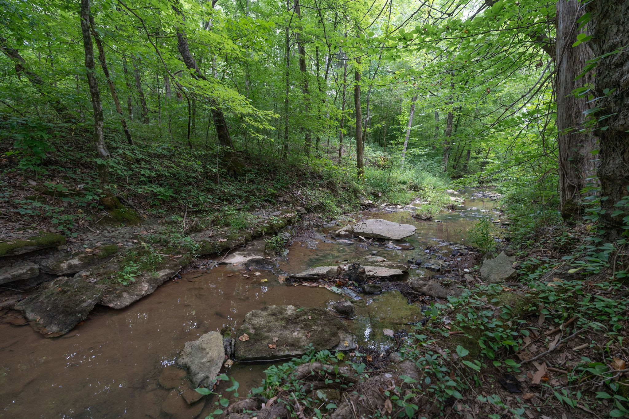 Image 4 of 15 For 293 Oak Lane Drive