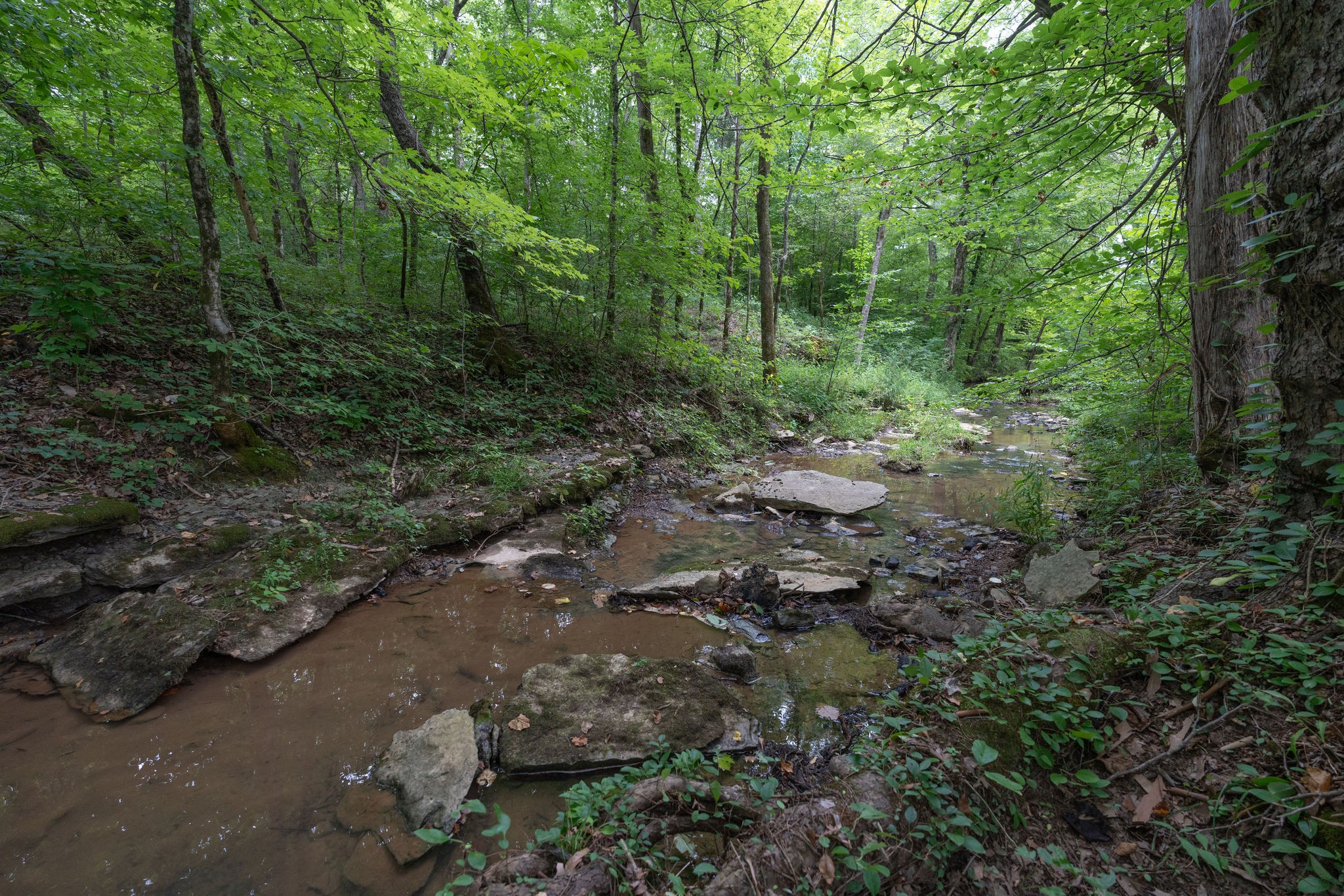 Image 6 of 15 For 293 Oak Lane Drive