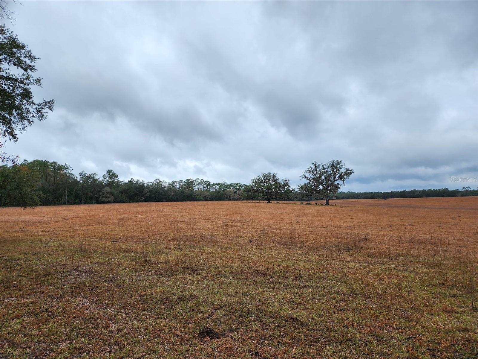 Image 3 of 22 For Lot 09 125th Court Road