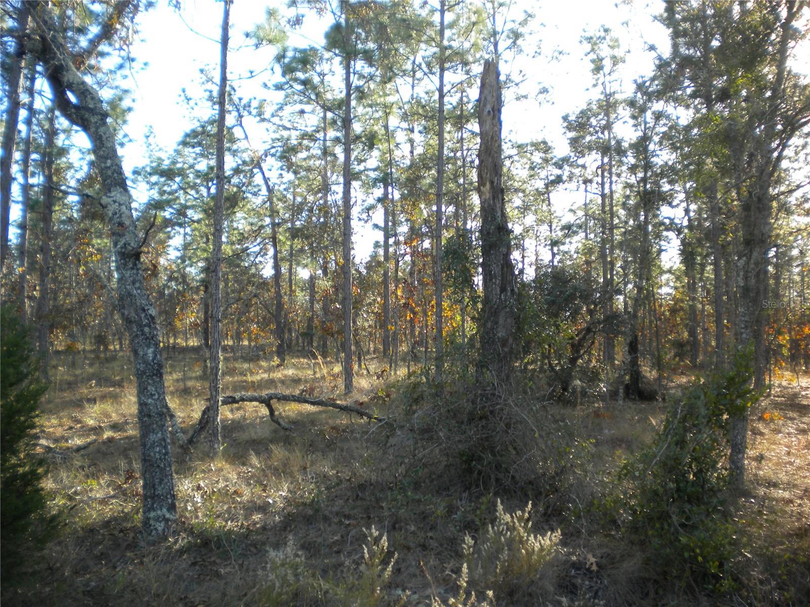 Image 6 of 22 For Lot 09 125th Court Road