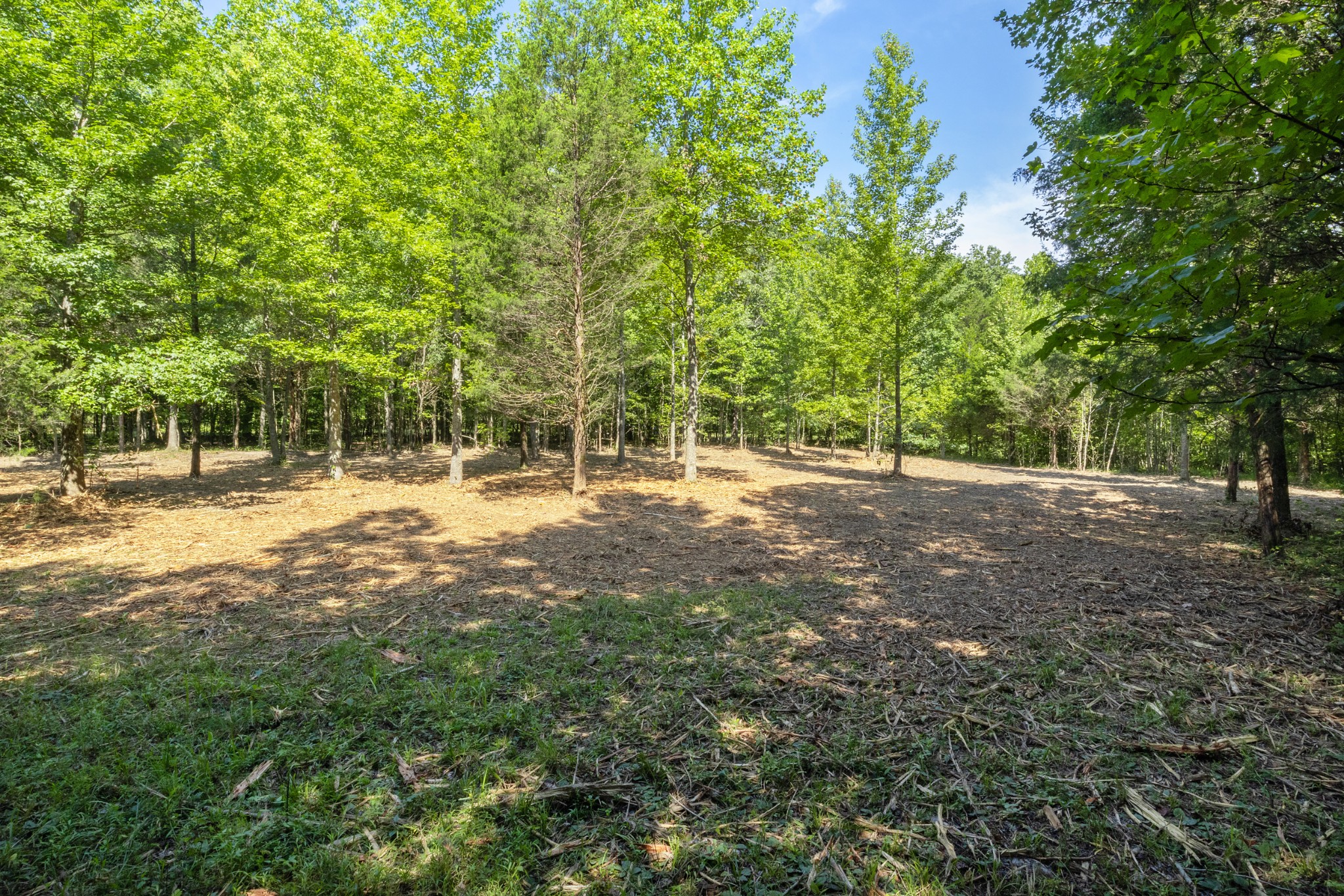 Image 7 of 8 For Lot 57 131 Terrace