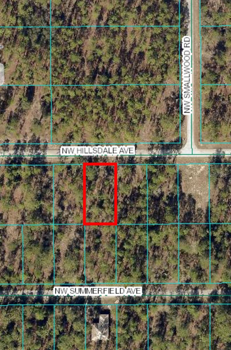 Details for Lot 15 Hillsdale Avenue, DUNNELLON, FL 34431