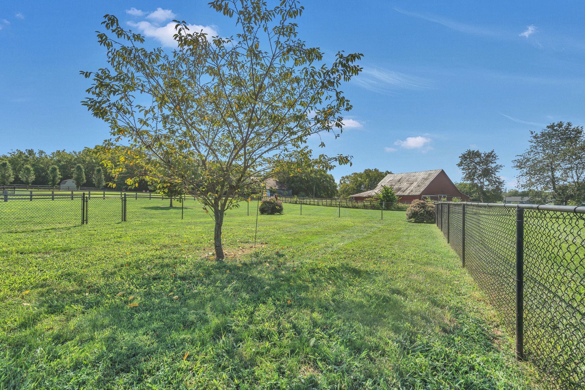 Image 28 of 36 For 9646 92 Place Road