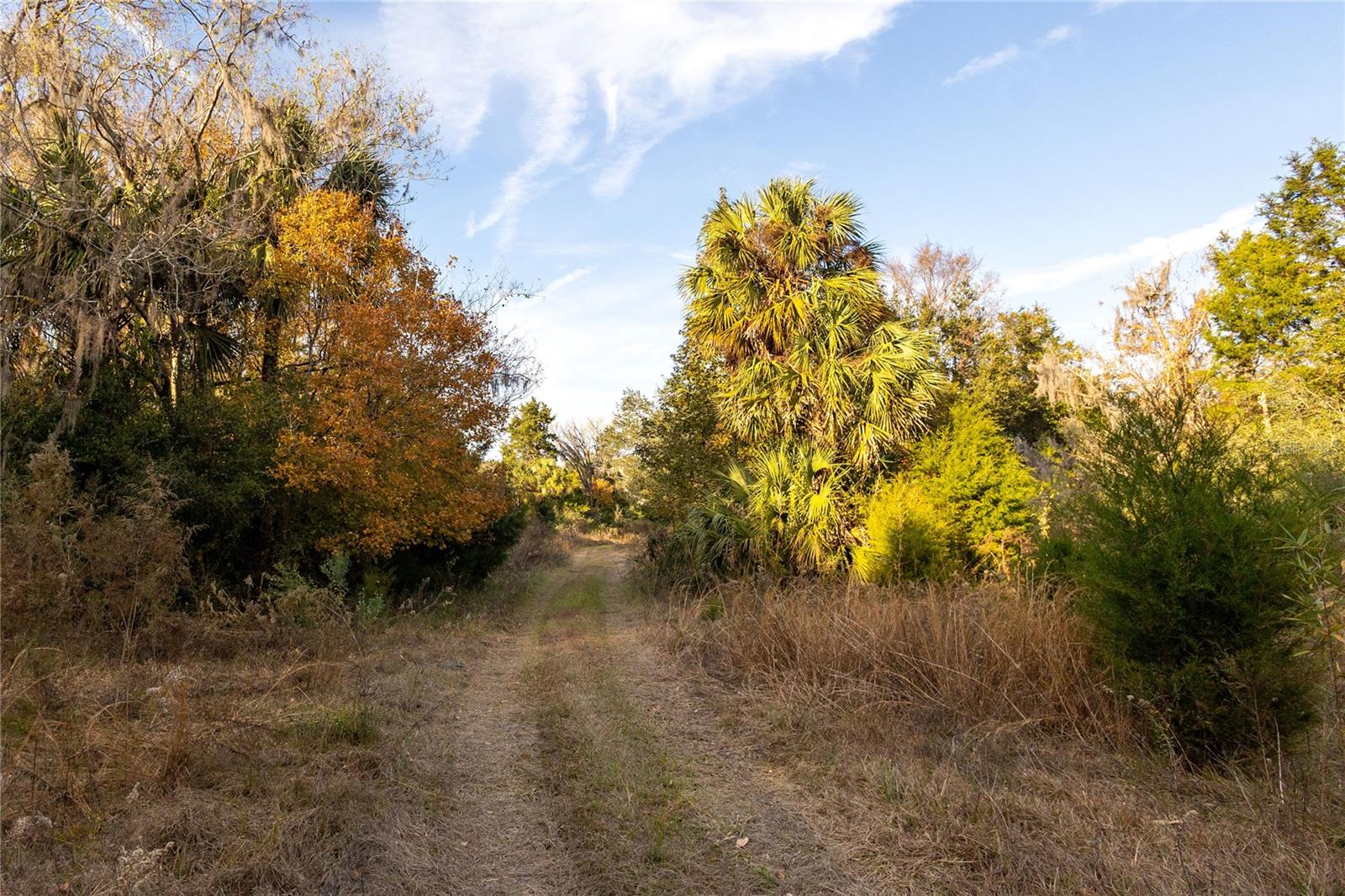 Image 16 of 74 For  Cr 326  
