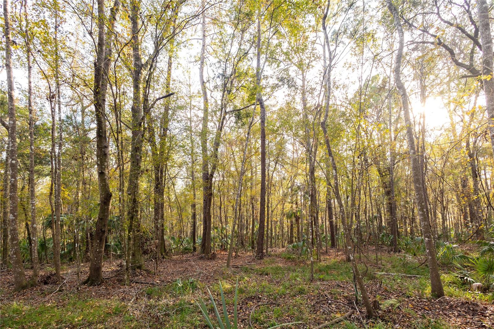 Image 17 of 74 For  Cr 326  