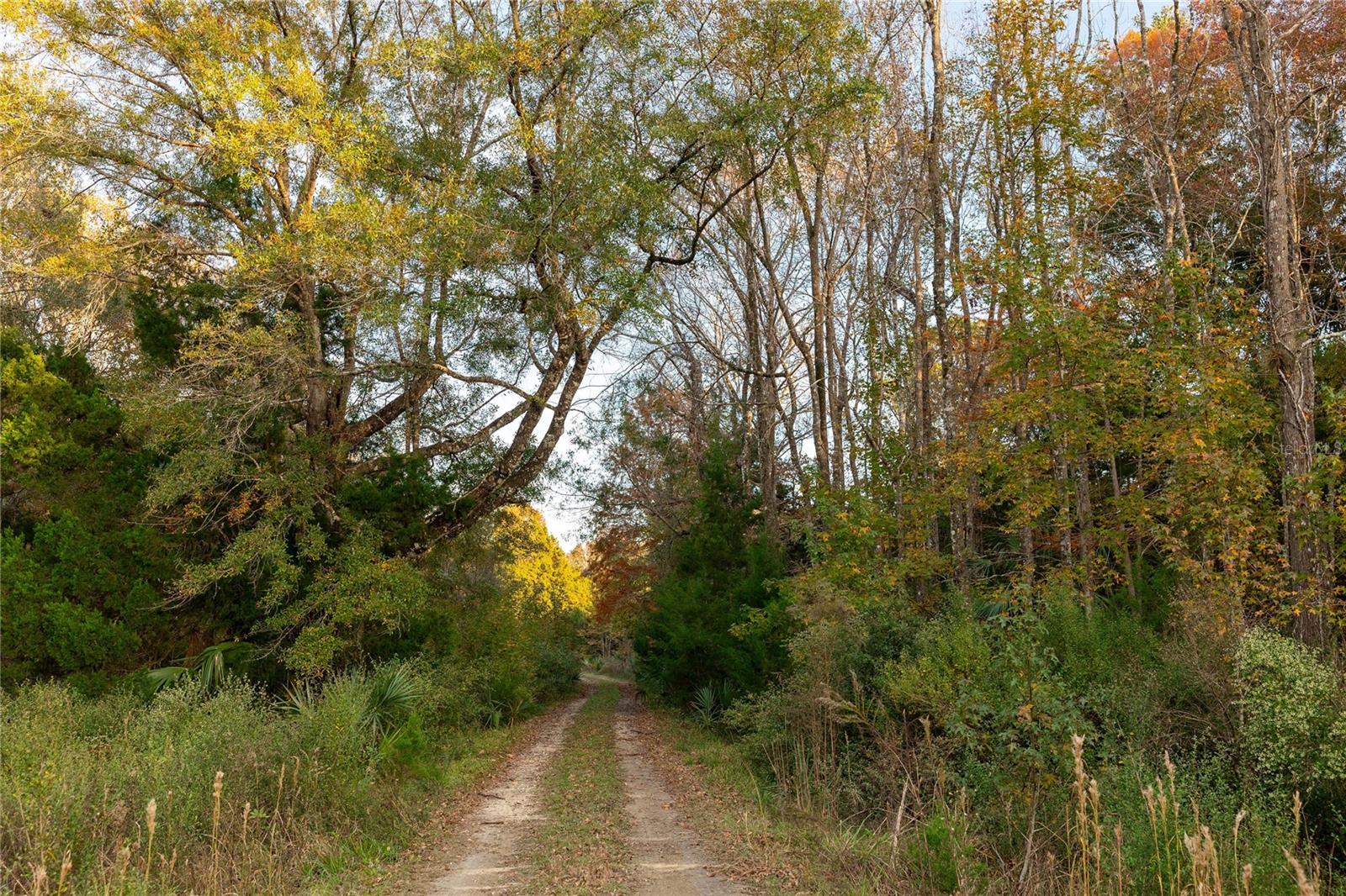 Image 47 of 74 For  Cr 326  