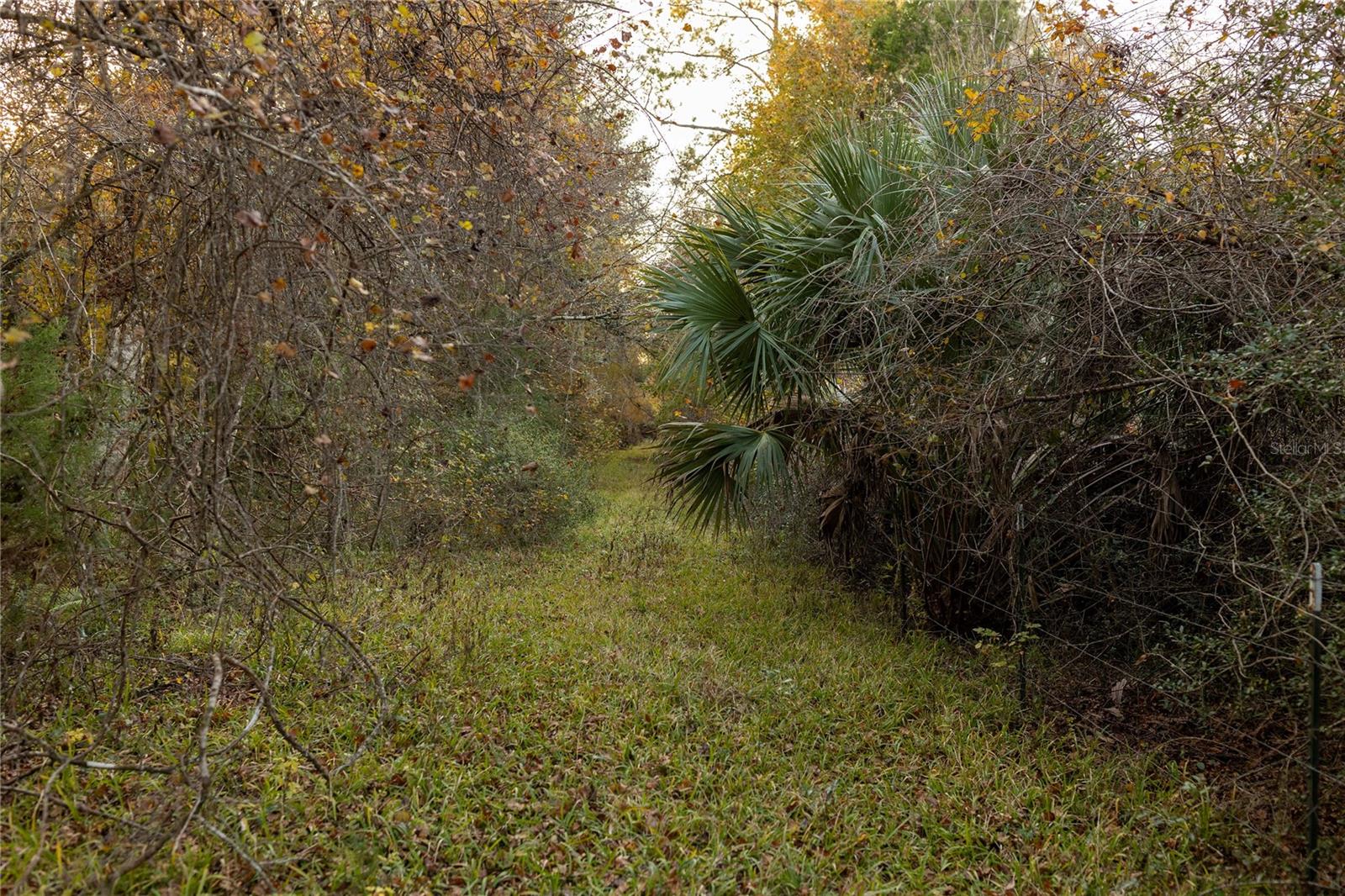 Image 56 of 74 For  Cr 326  