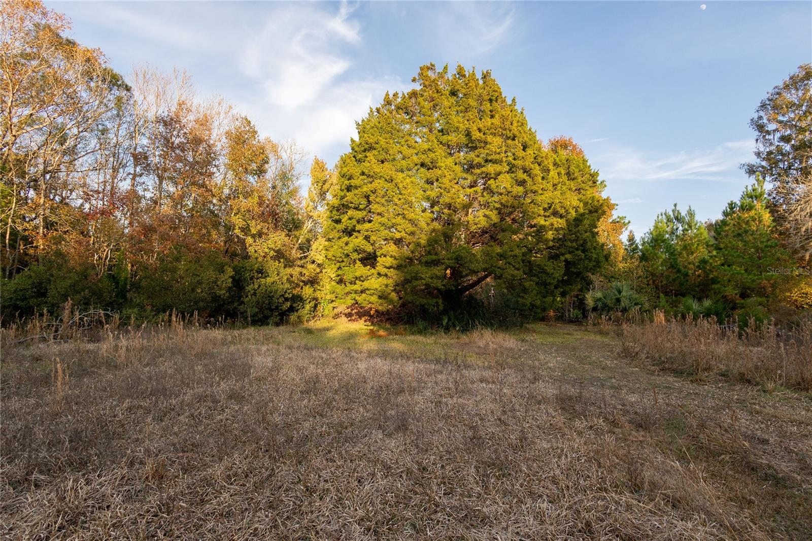 Image 63 of 74 For  Cr 326  