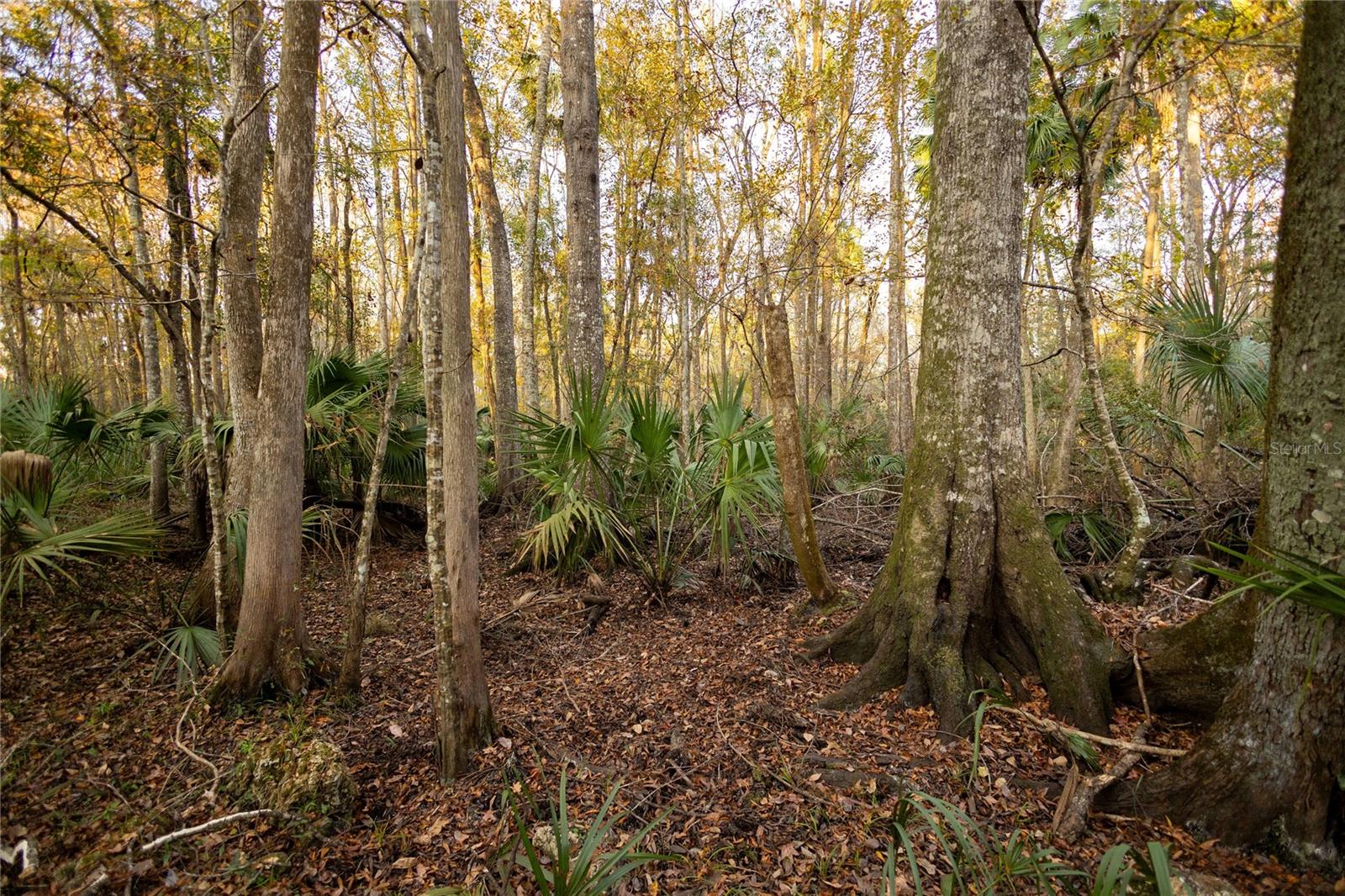 Image 66 of 74 For  Cr 326  