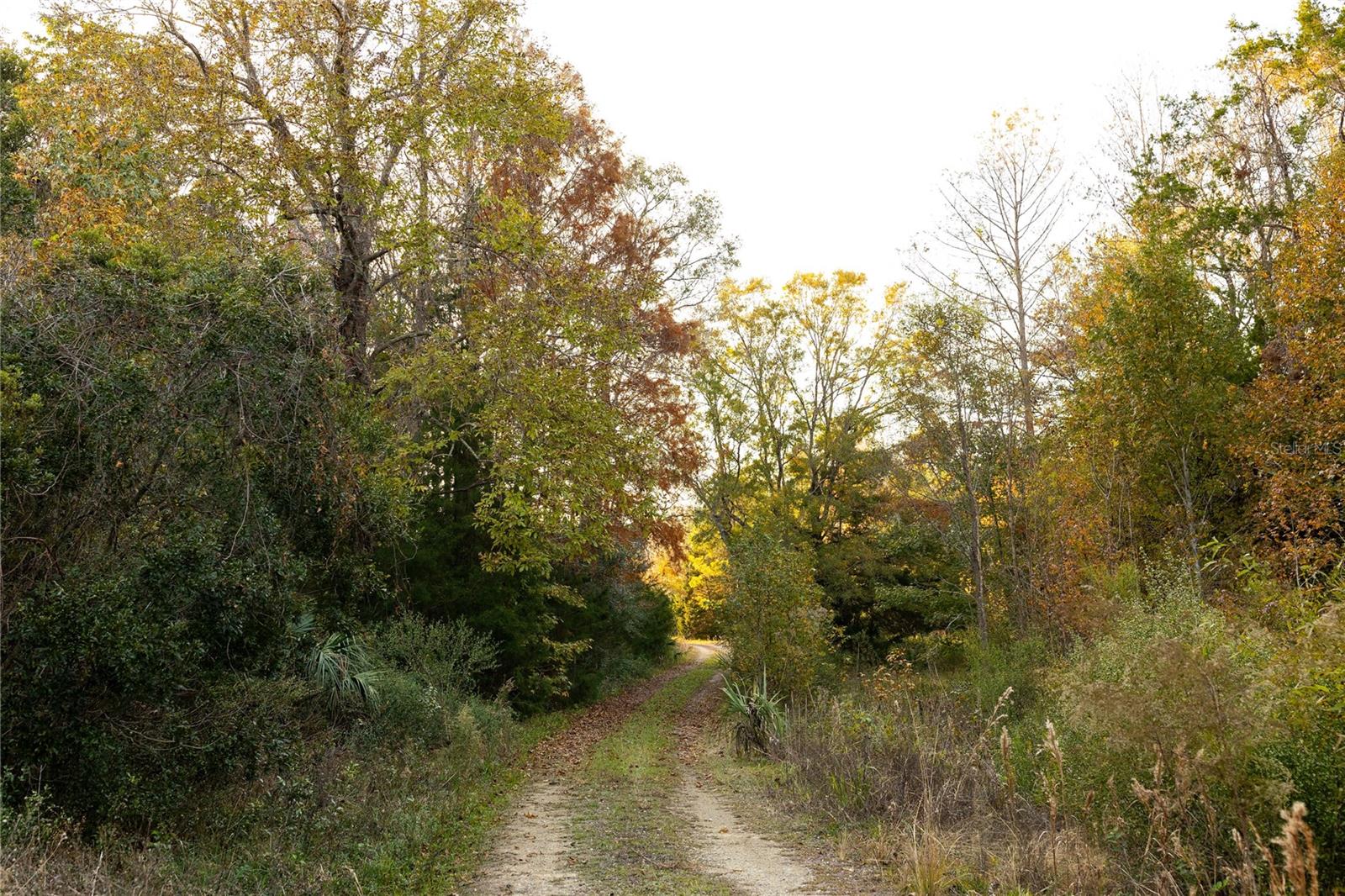 Image 73 of 74 For  Cr 326  