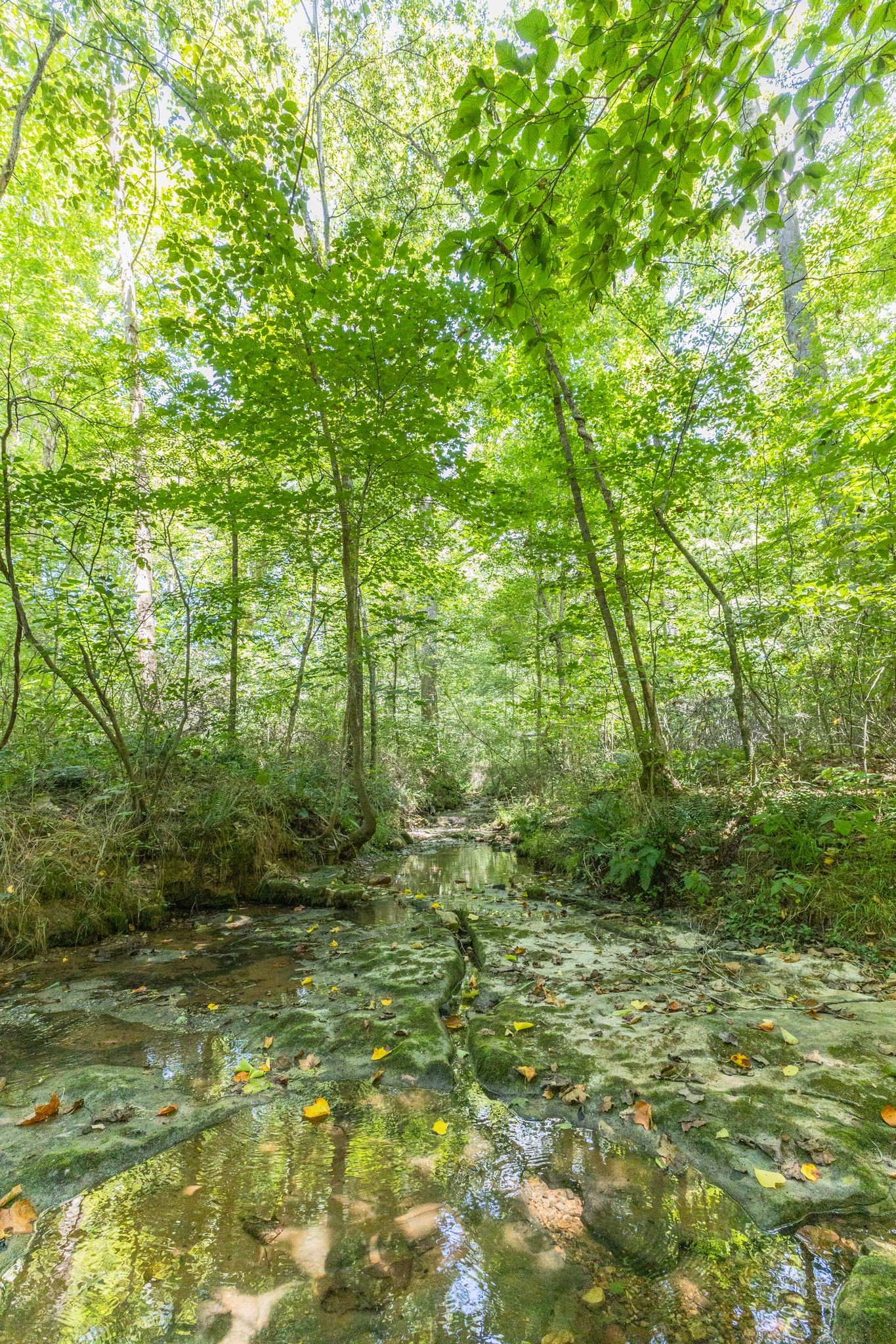 Image 8 of 33 For 8457 138th Place