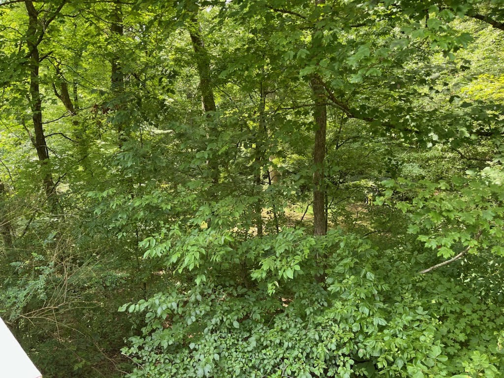 Image 9 of 33 For 8457 138th Place