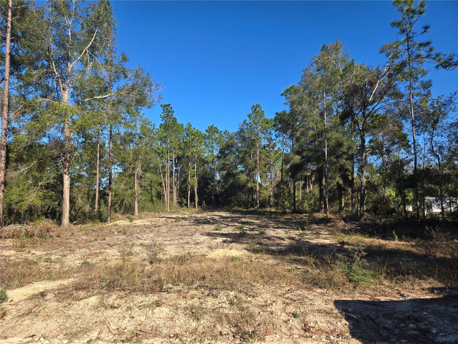 Details for Tbd Sw 49th Place, DUNNELLON, FL 34432