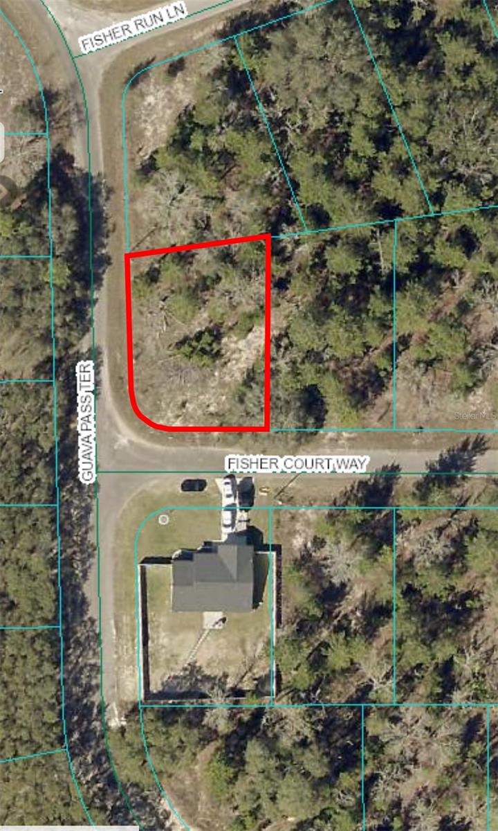 Details for 0 Fisher Run Ln., OCKLAWAHA, FL 32179