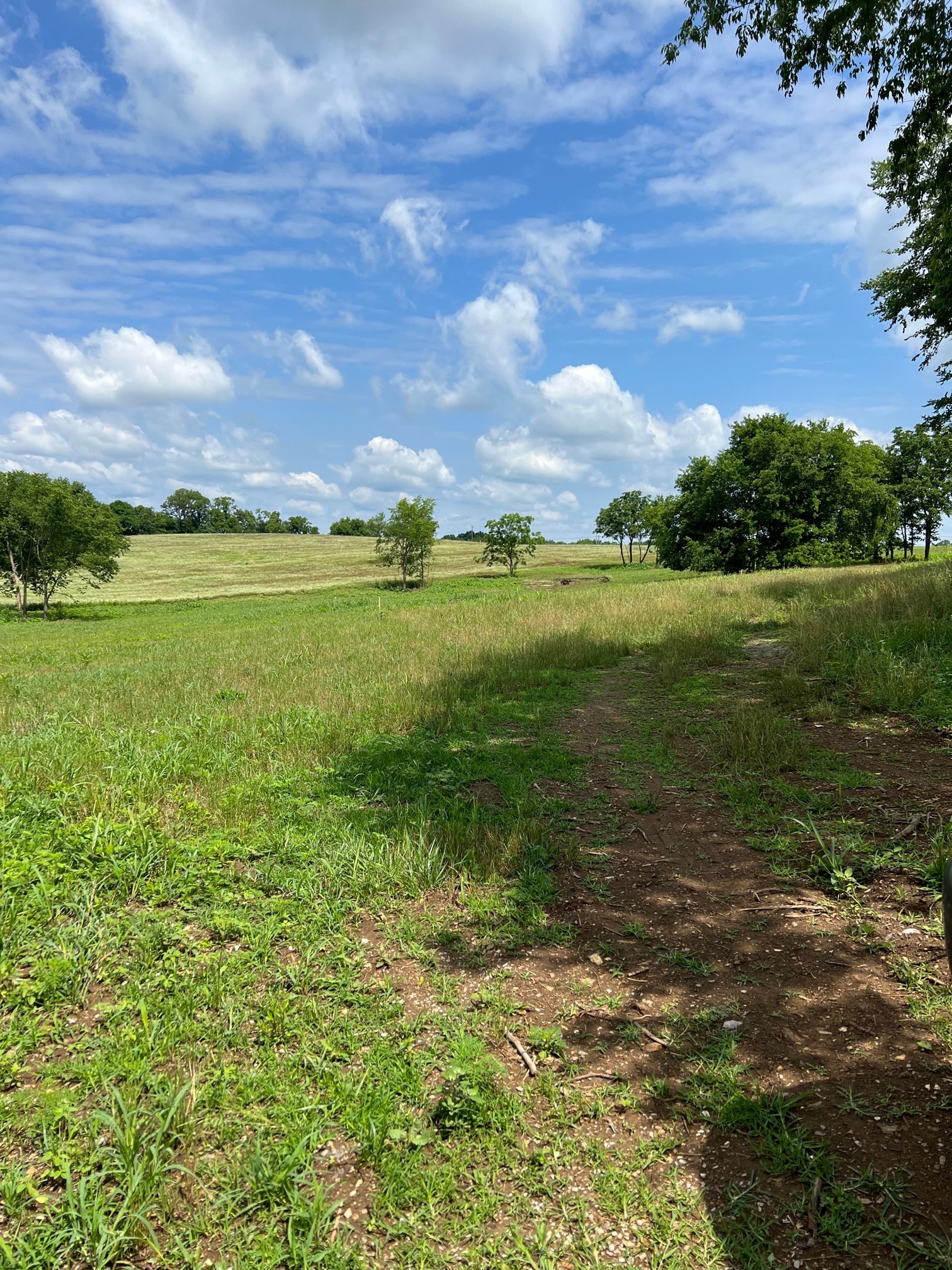 Image 2 of 3 For 0 Marion Oaks Course