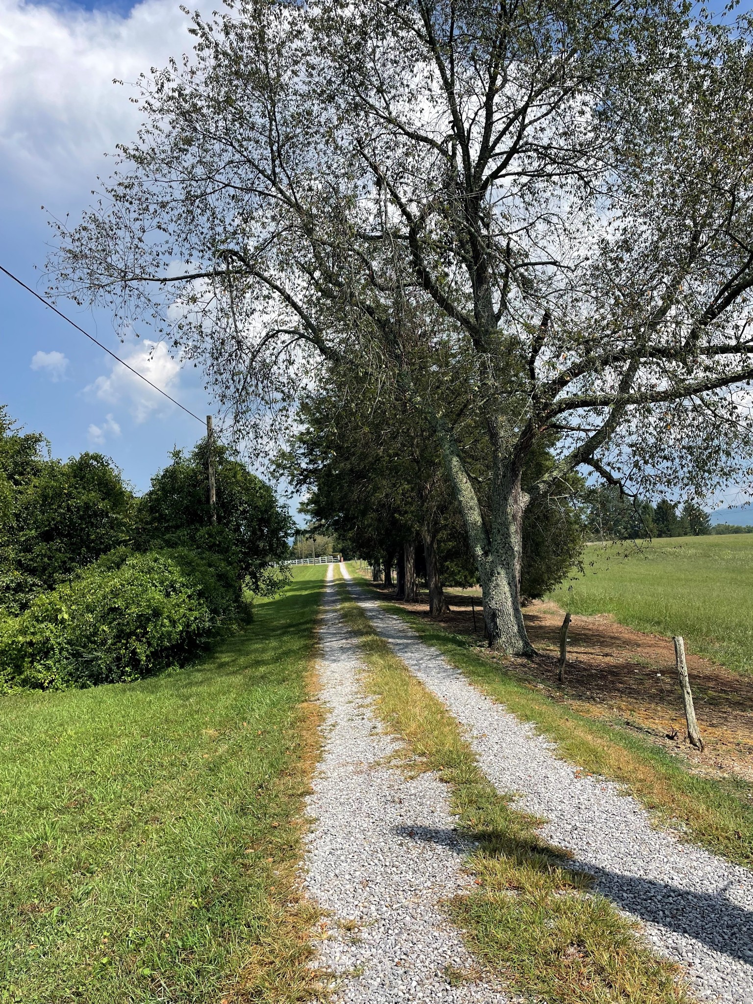 Image 3 of 48 For 281 Marion Oaks Course