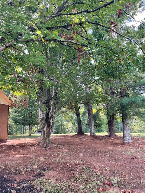 Image 44 of 48 For 281 Marion Oaks Course