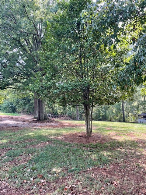 Image 47 of 48 For 281 Marion Oaks Course