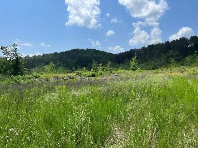 Image 2 of 3 For 13323 12th Street Road