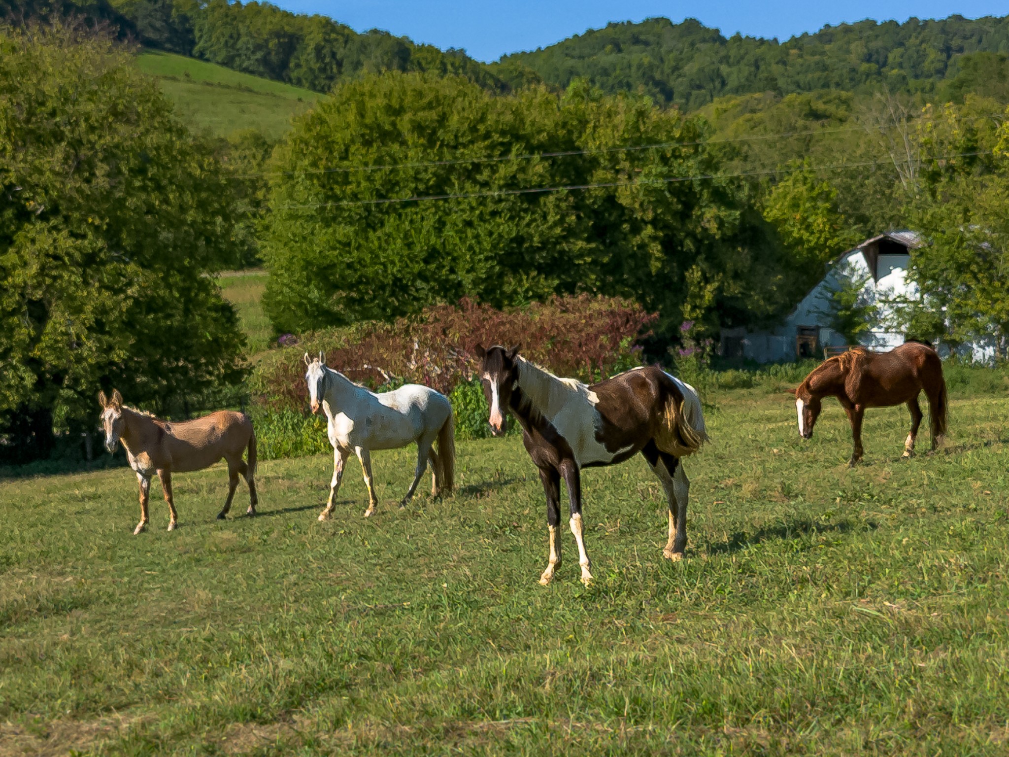 Details for 4766 39th Street Road, OCALA, FL 34482