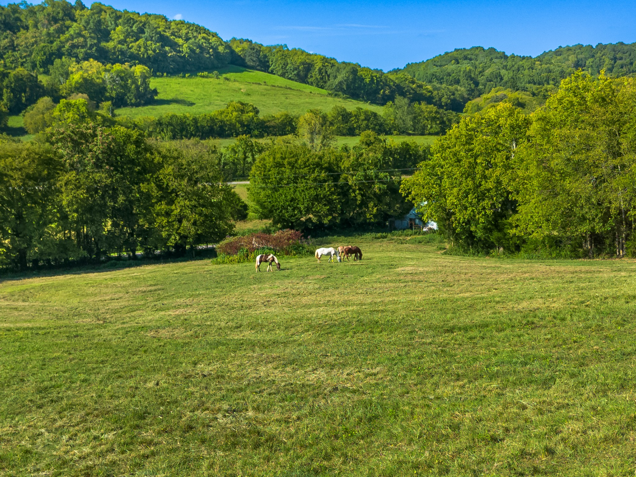 Image 13 of 29 For 4766 39th Street Road