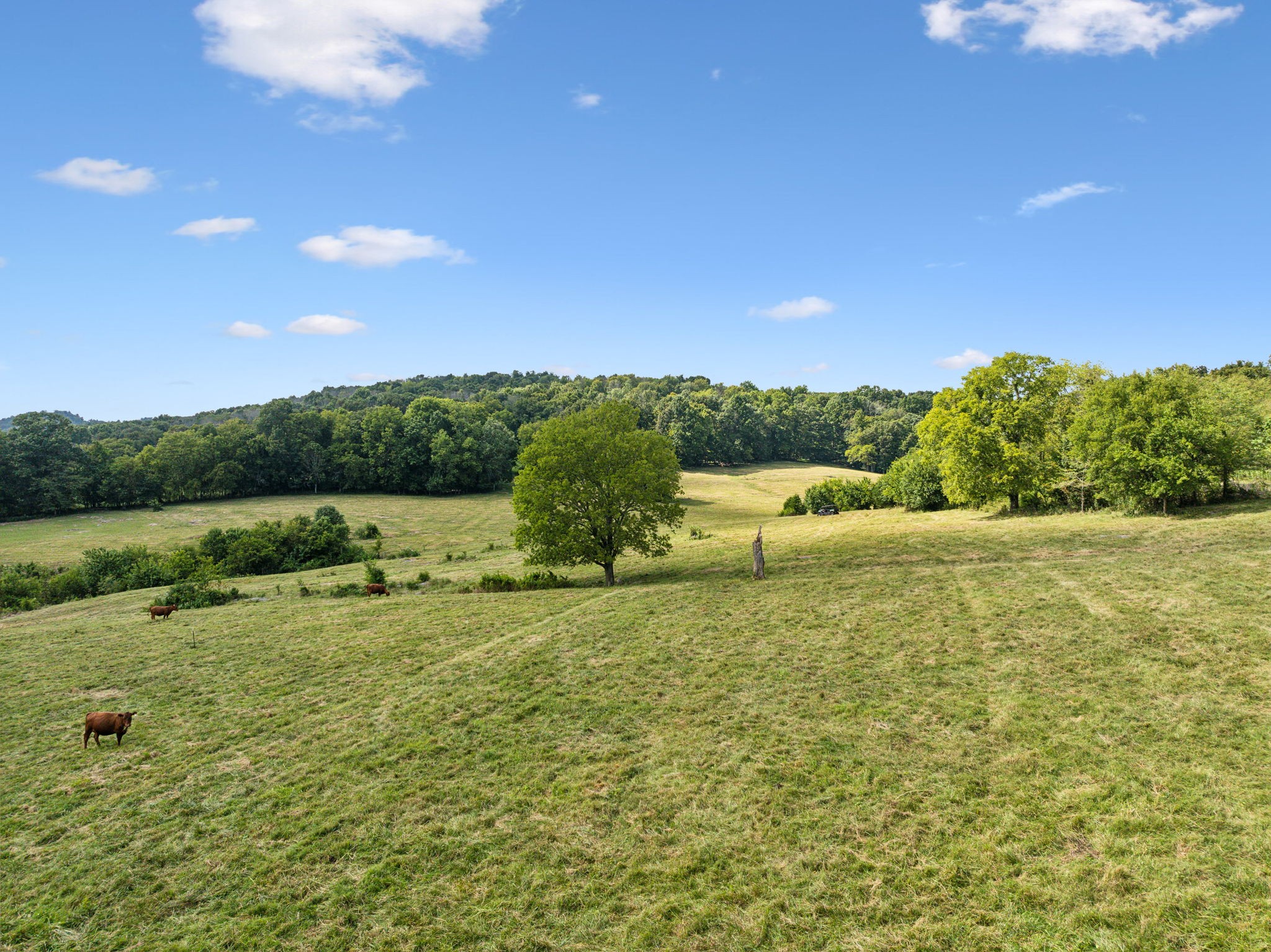 Image 8 of 38 For 2801 College Road 24