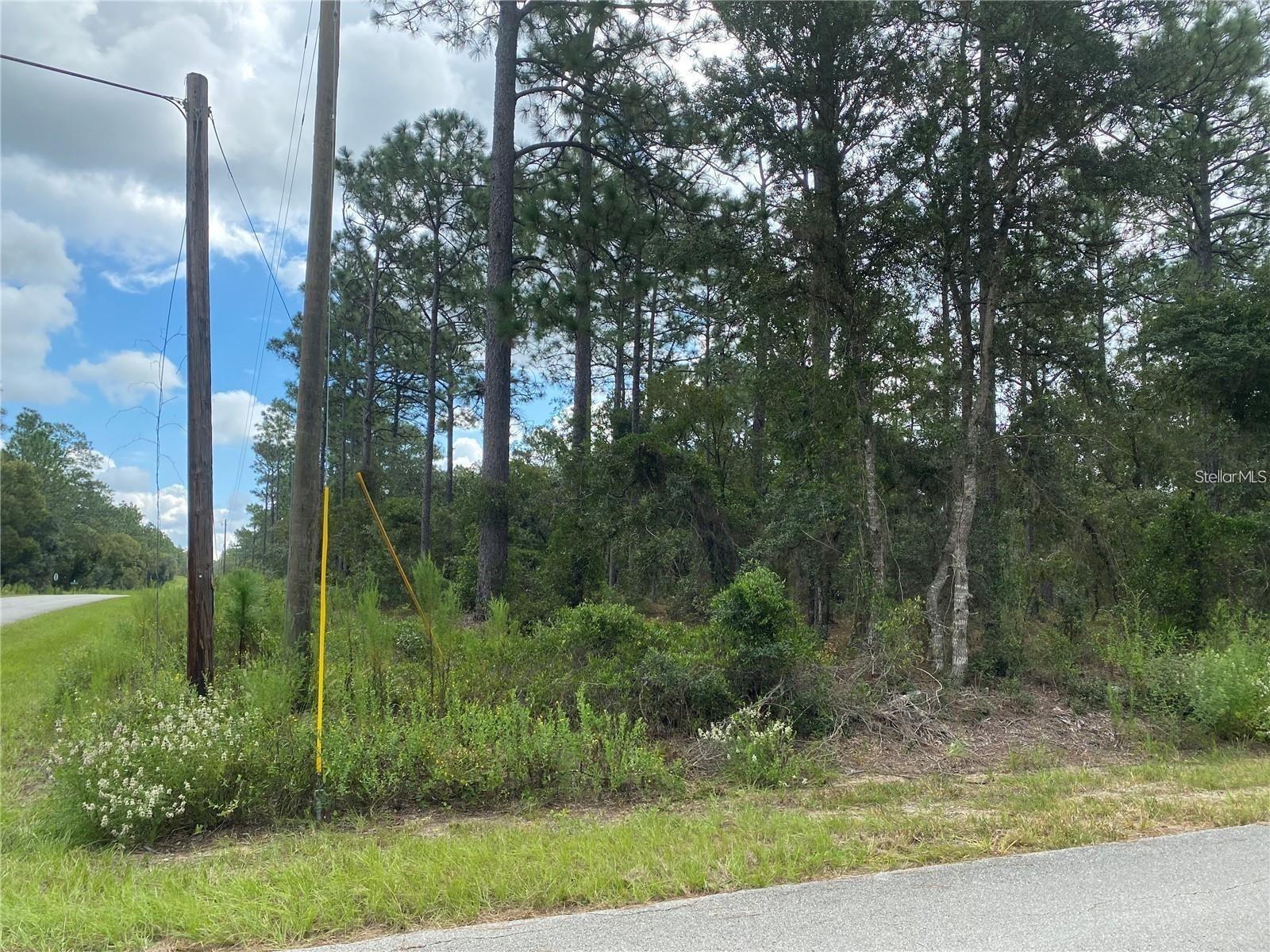 Image 2 of 3 For 00 Buena Vista Road
