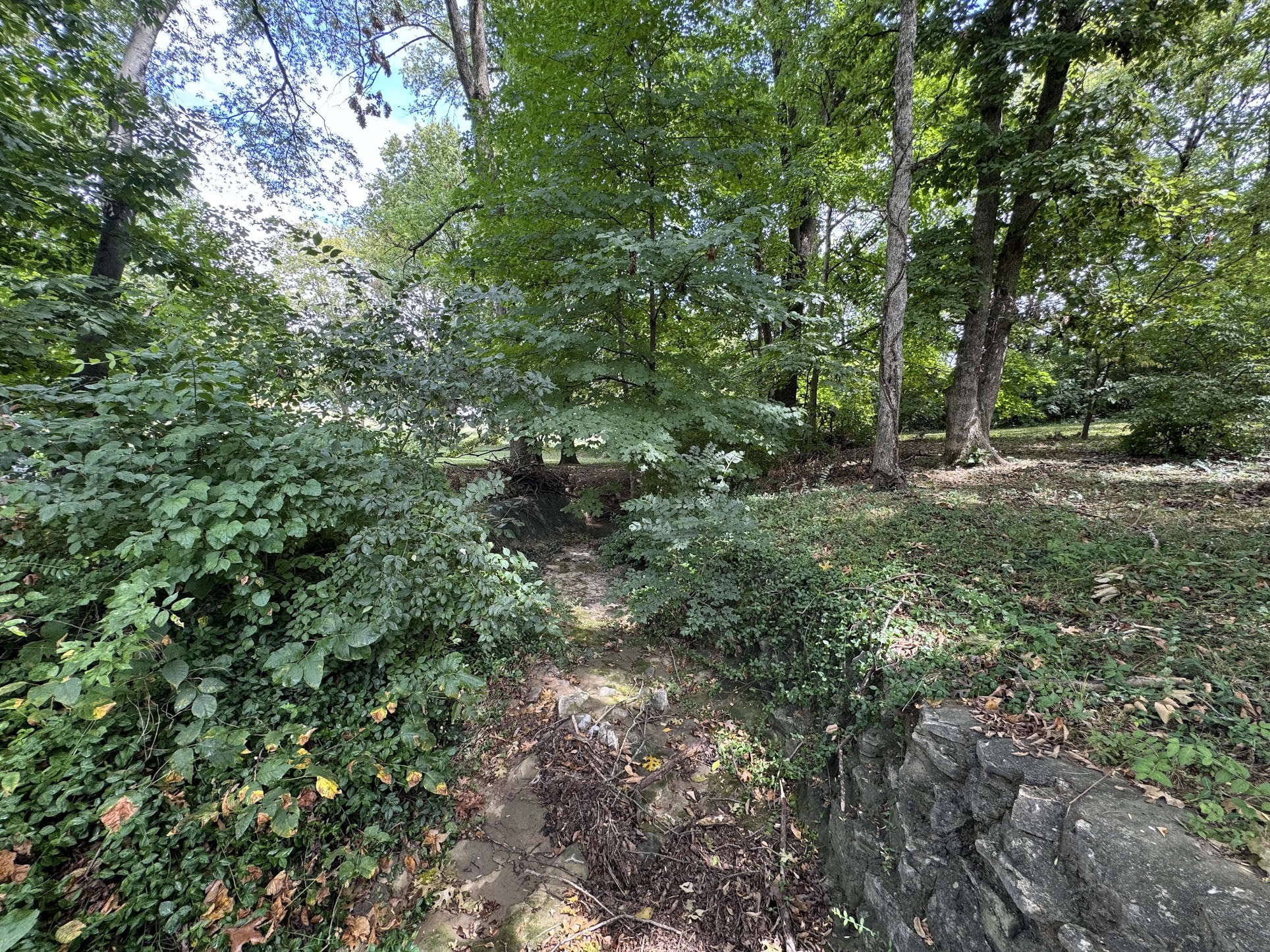 Image 40 of 76 For 7451 111th Place