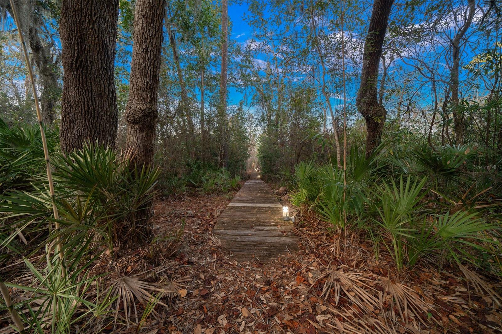 Image 32 of 49 For 12108 225th Drive