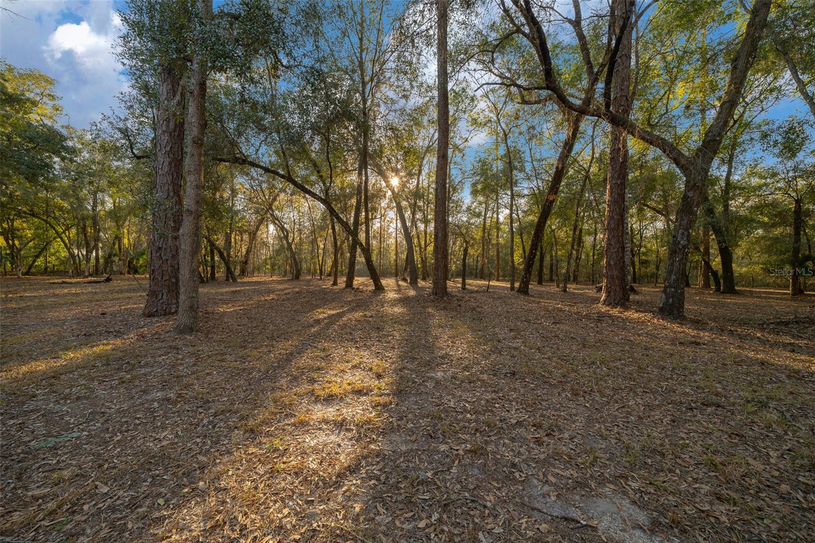 Image 47 of 49 For 12108 225th Drive