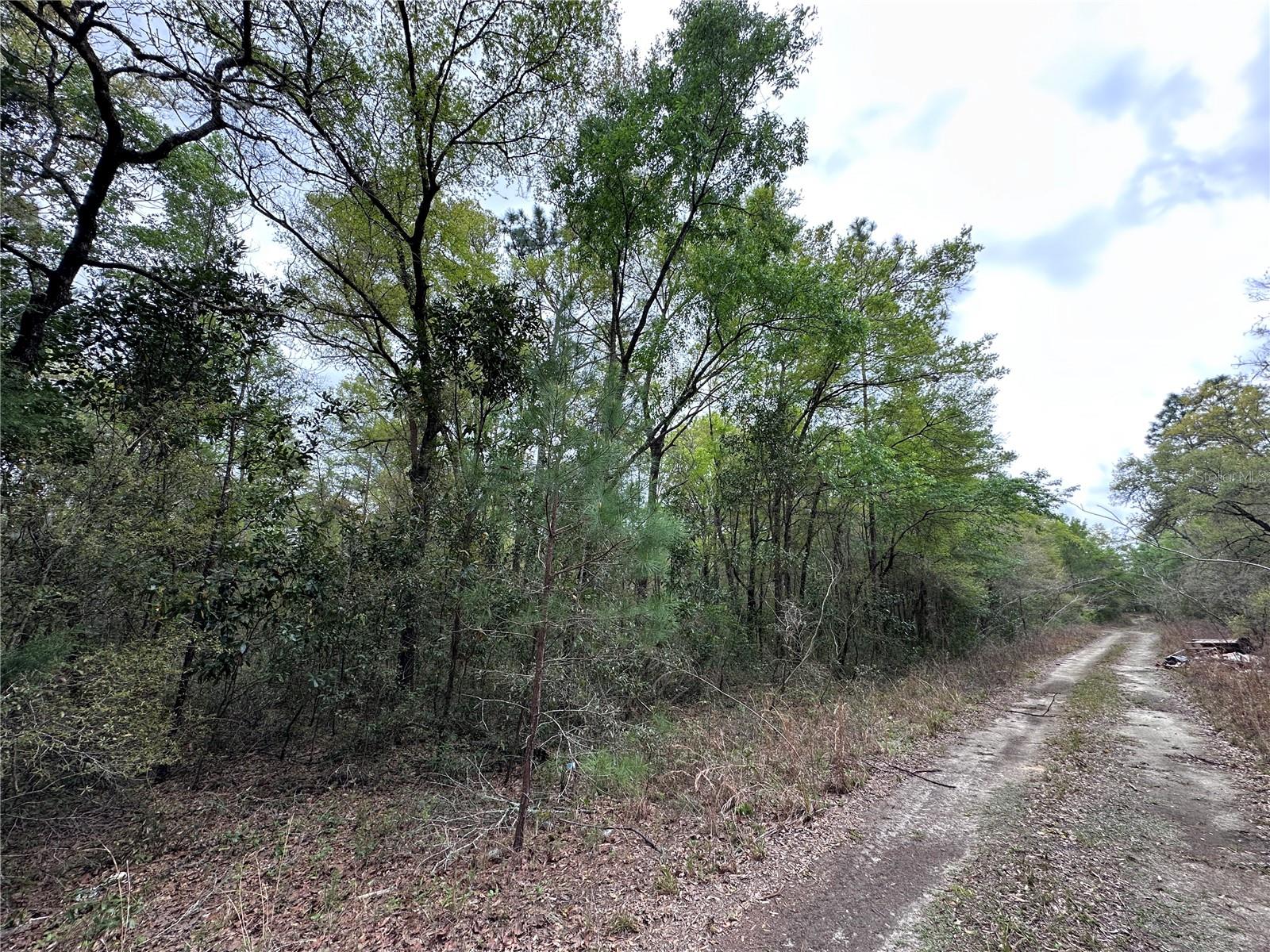 Image 3 of 5 For Tbd 154th Avenue