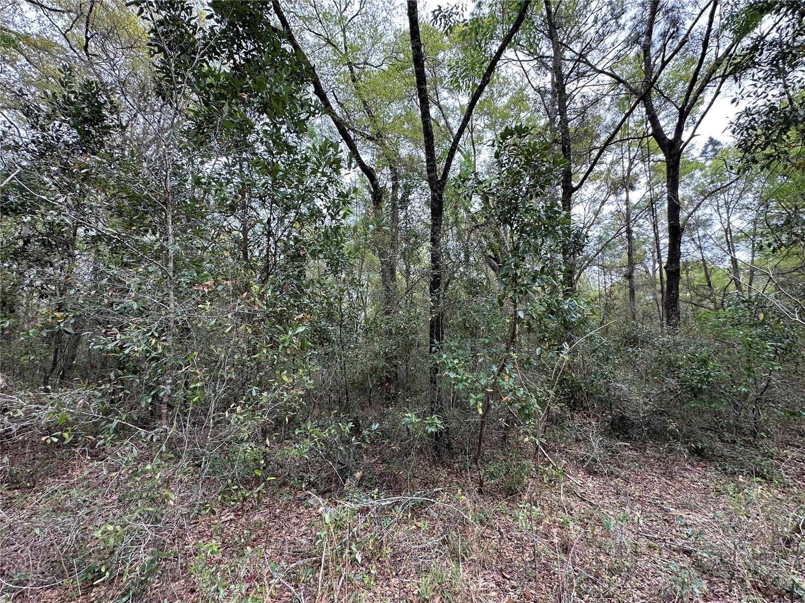 Image 4 of 5 For Tbd 154th Avenue