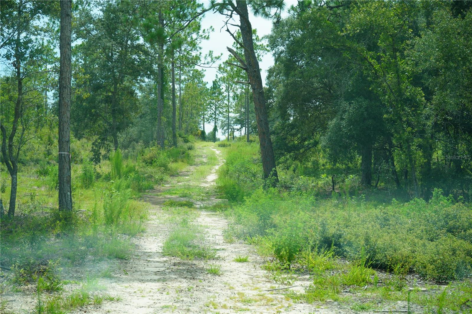Image 26 of 28 For State Road 121 Lot A